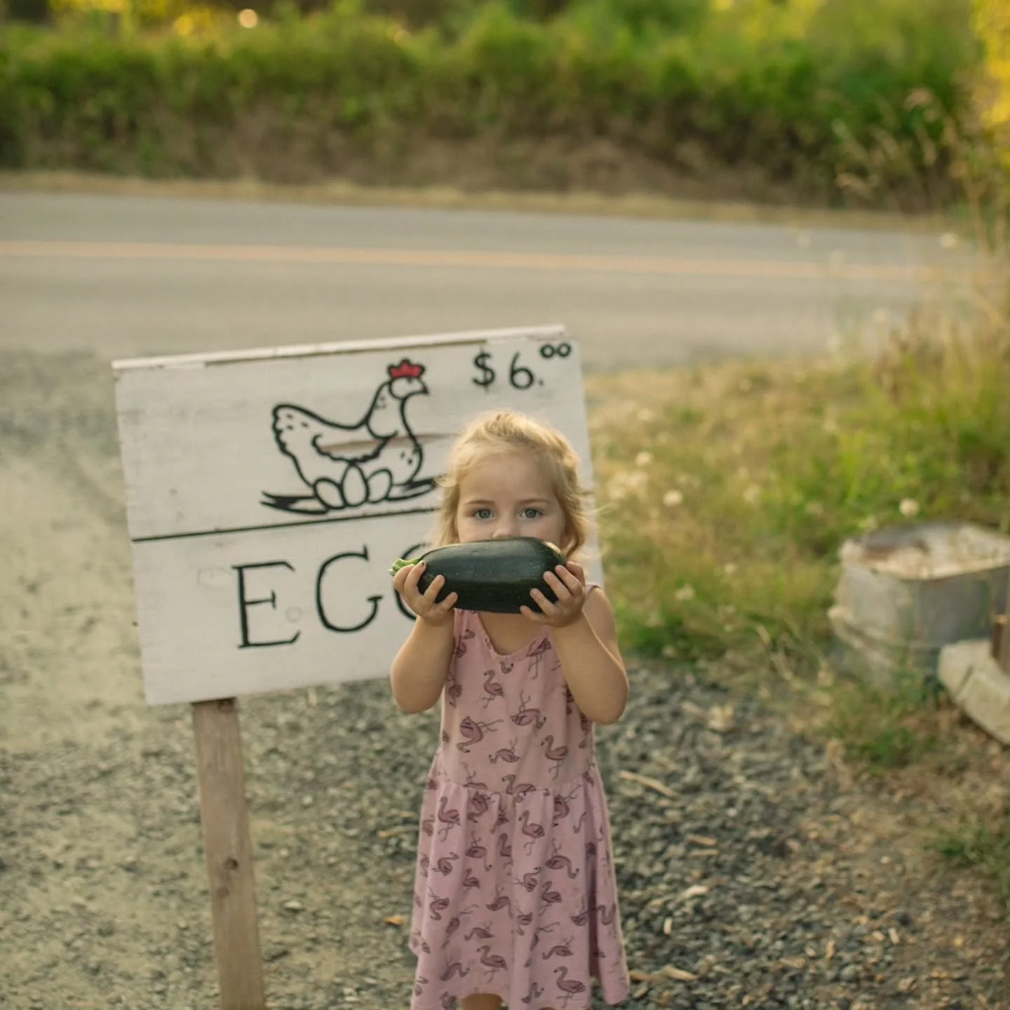 Physically, im in a pumpkin patch with red/orange/yellow trees- but mentally, emotionally and spiritually im in the dead of summer swimming during a sunset cause the house is too hot and everyone's whinning about the heat (except my kid &amp; i) 

Fo