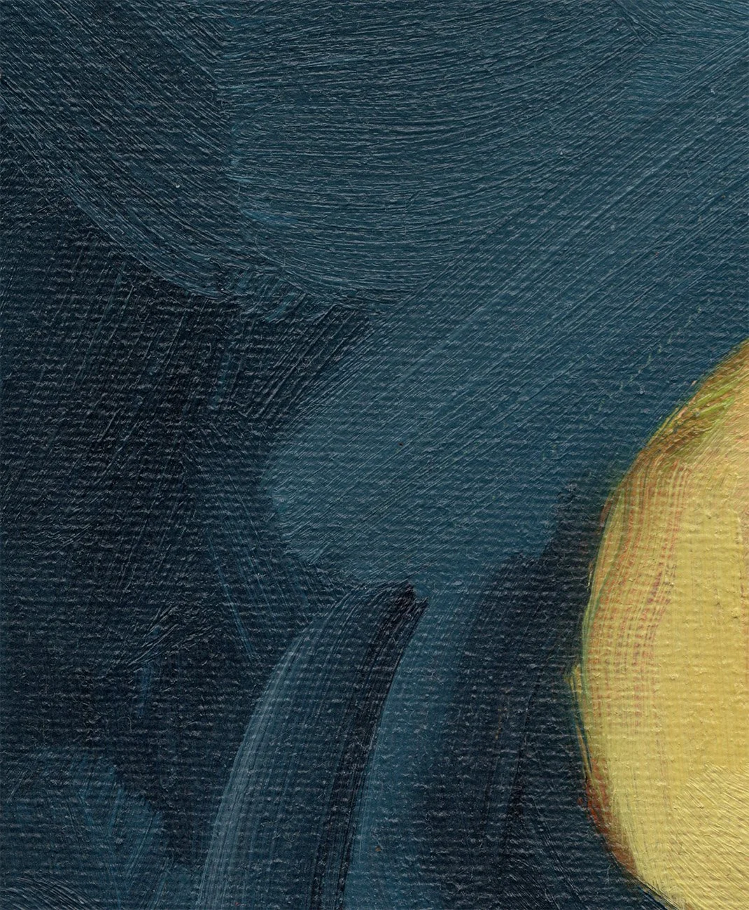 Detail des Stilllebens „Avocados im Schnitt“ mit dunklem Hintergrund