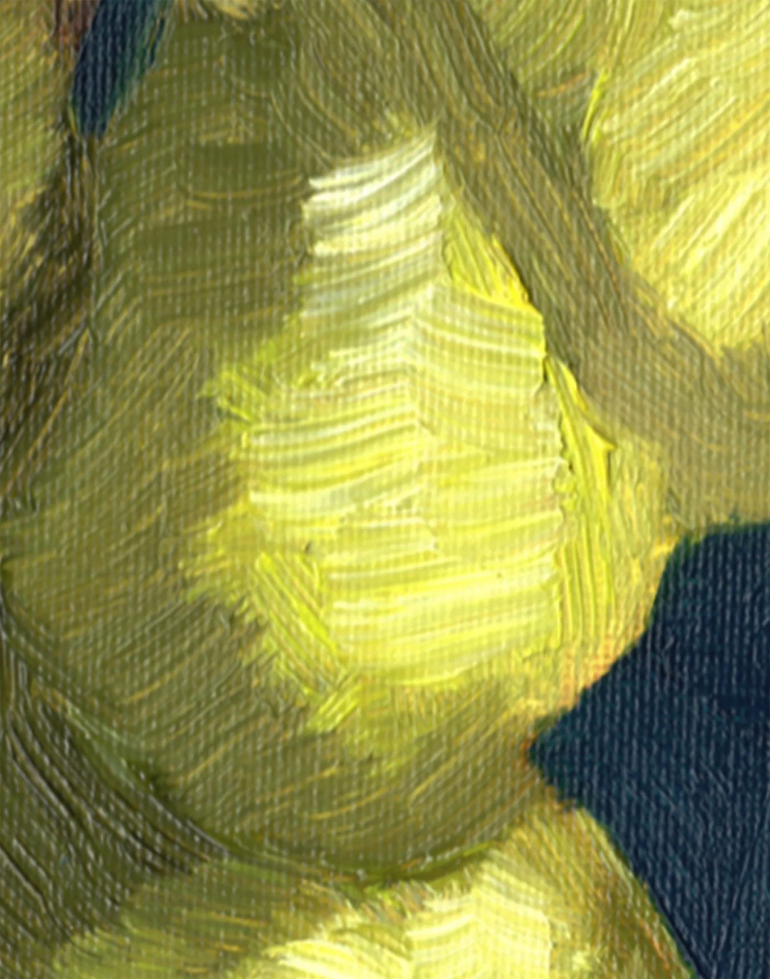 Detailaufnahme der Ölstruktur einer grünen Avocado