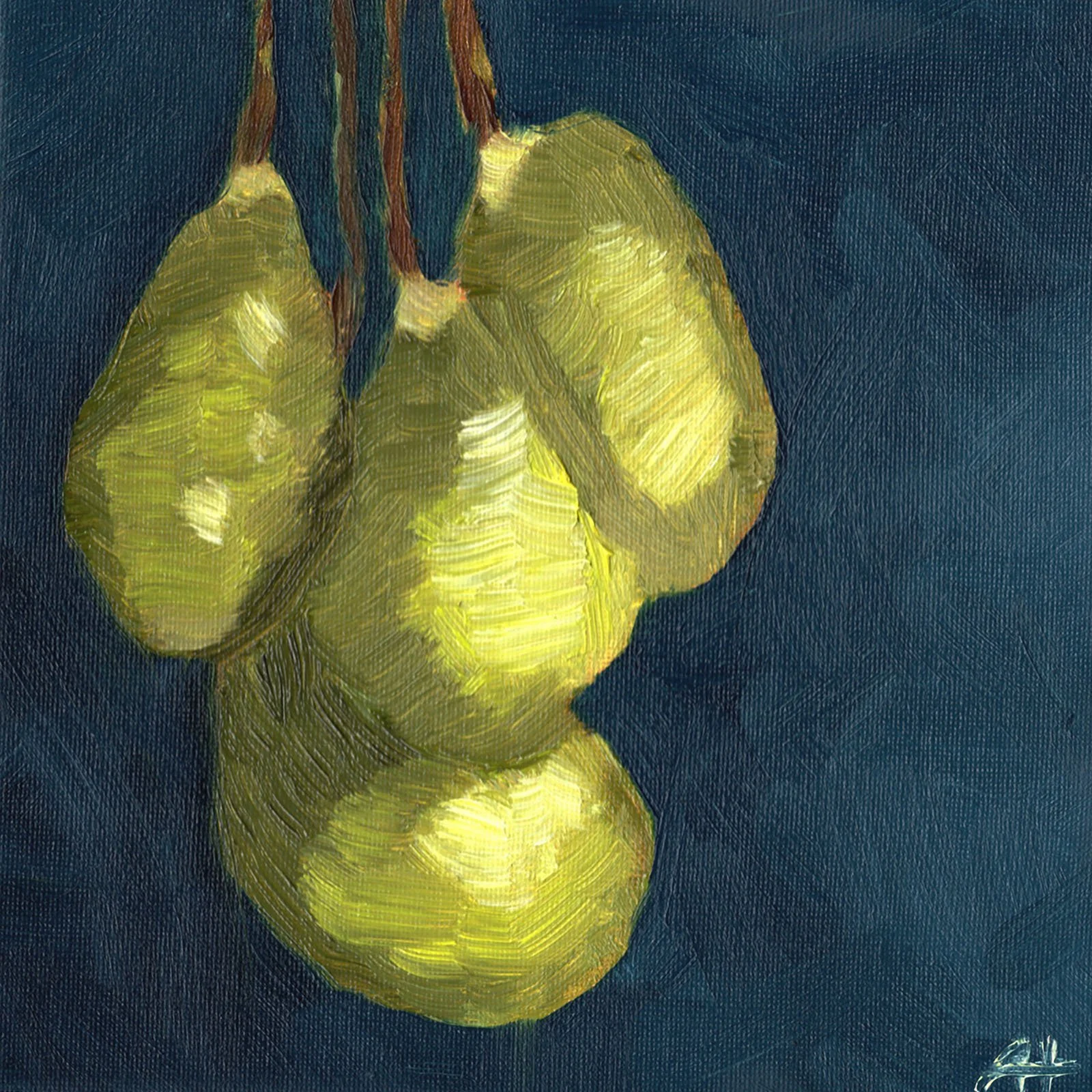 Quadratisches Öl Stillleben mit drei hängenden Avocados vor blauem Hintergrund