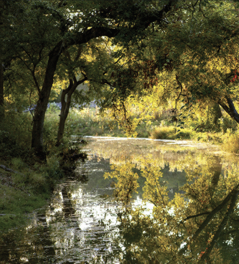 Legacy Land: The Future of Texas Communities