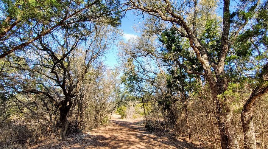 southwest-williamson.jpg