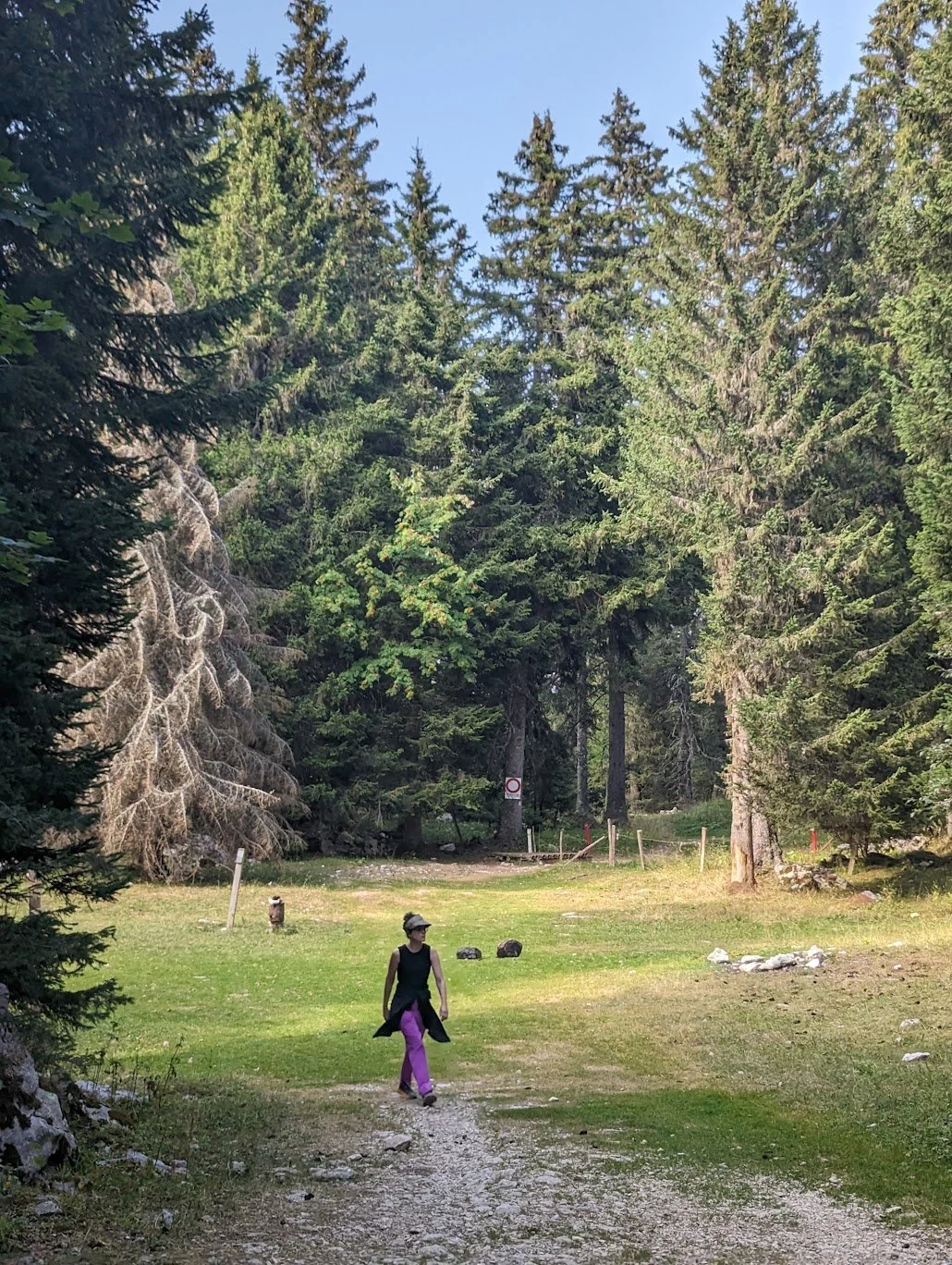 Autumn Alignment: Embodiment &amp; Nature Connection Retreat in Italy