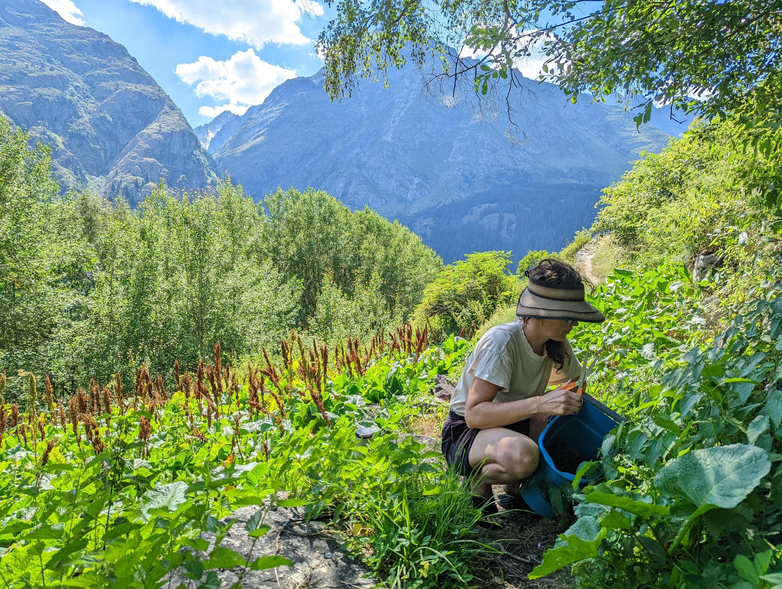 Herbal Medicine &amp; Nutrition for English-Speaking Internationals in France &amp; Switzerland