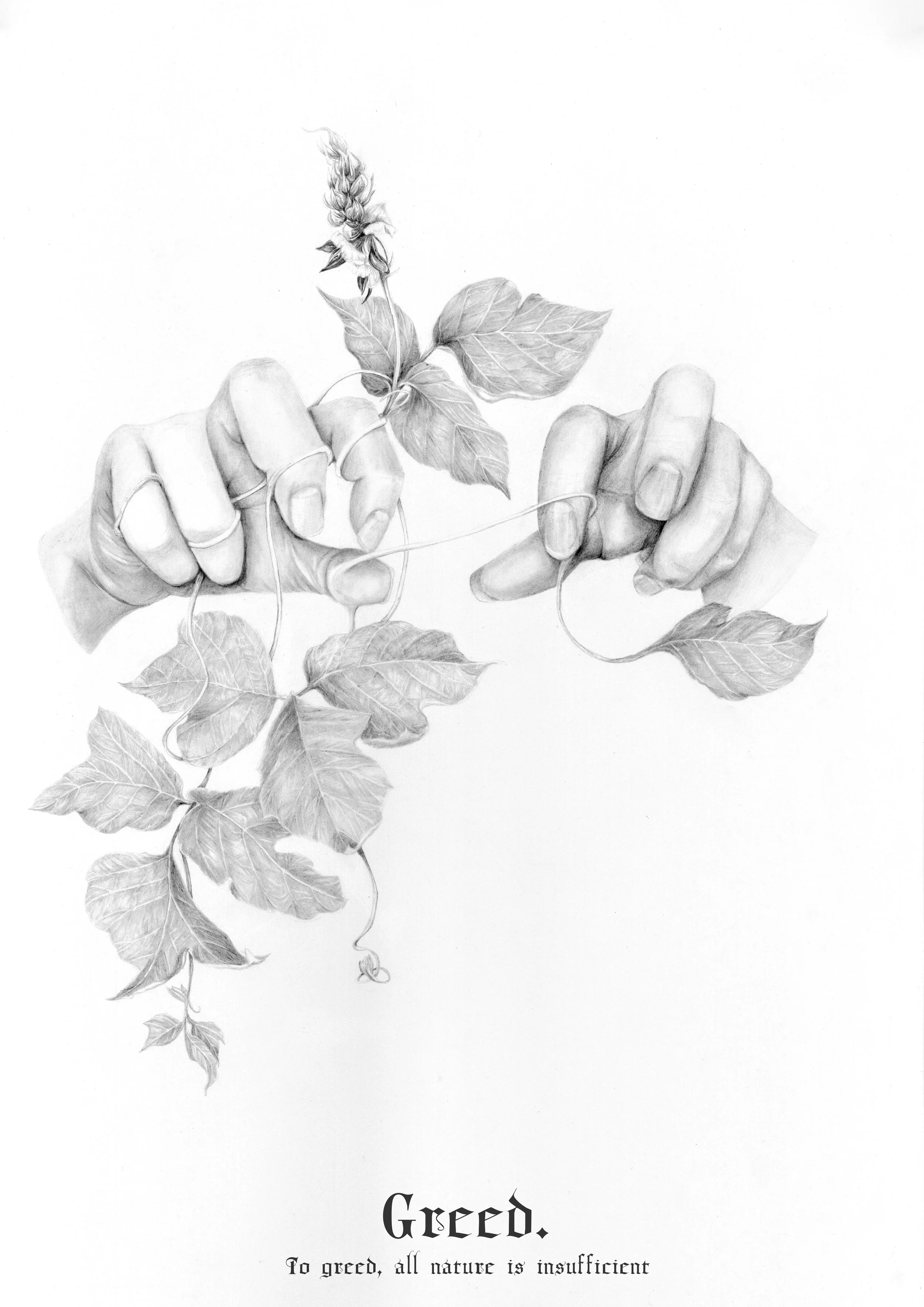 Greed.jpg