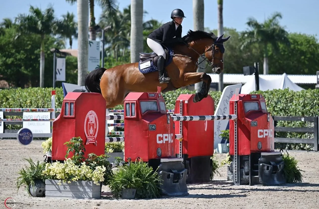 A rider in black riding attire on a brown horse jumping over a red obstacle during a show jumping competition on a sunny day with palm trees in the background.