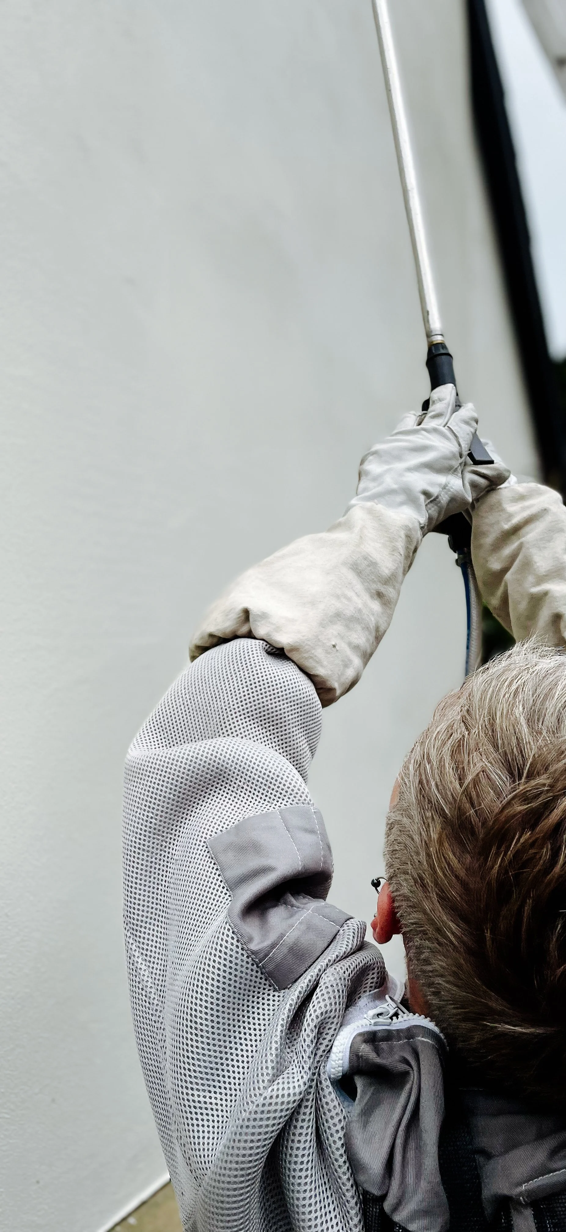 worker in PPE sprays wasps at a home using a spray gun