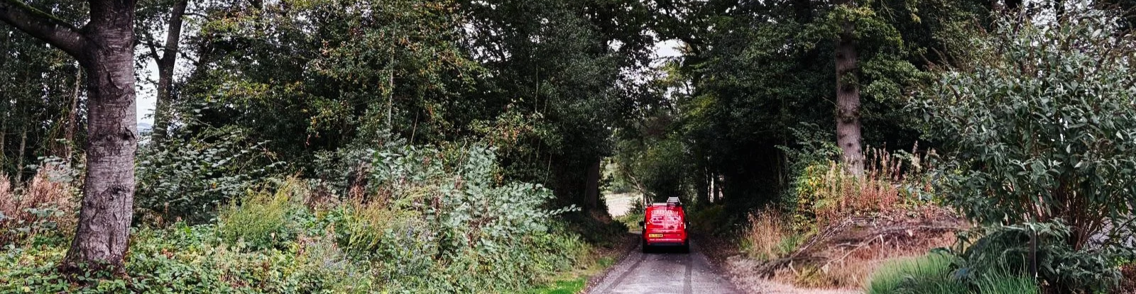 A red surekill van vehicle driving down a forested dirt road surrounded by trees and bushes.