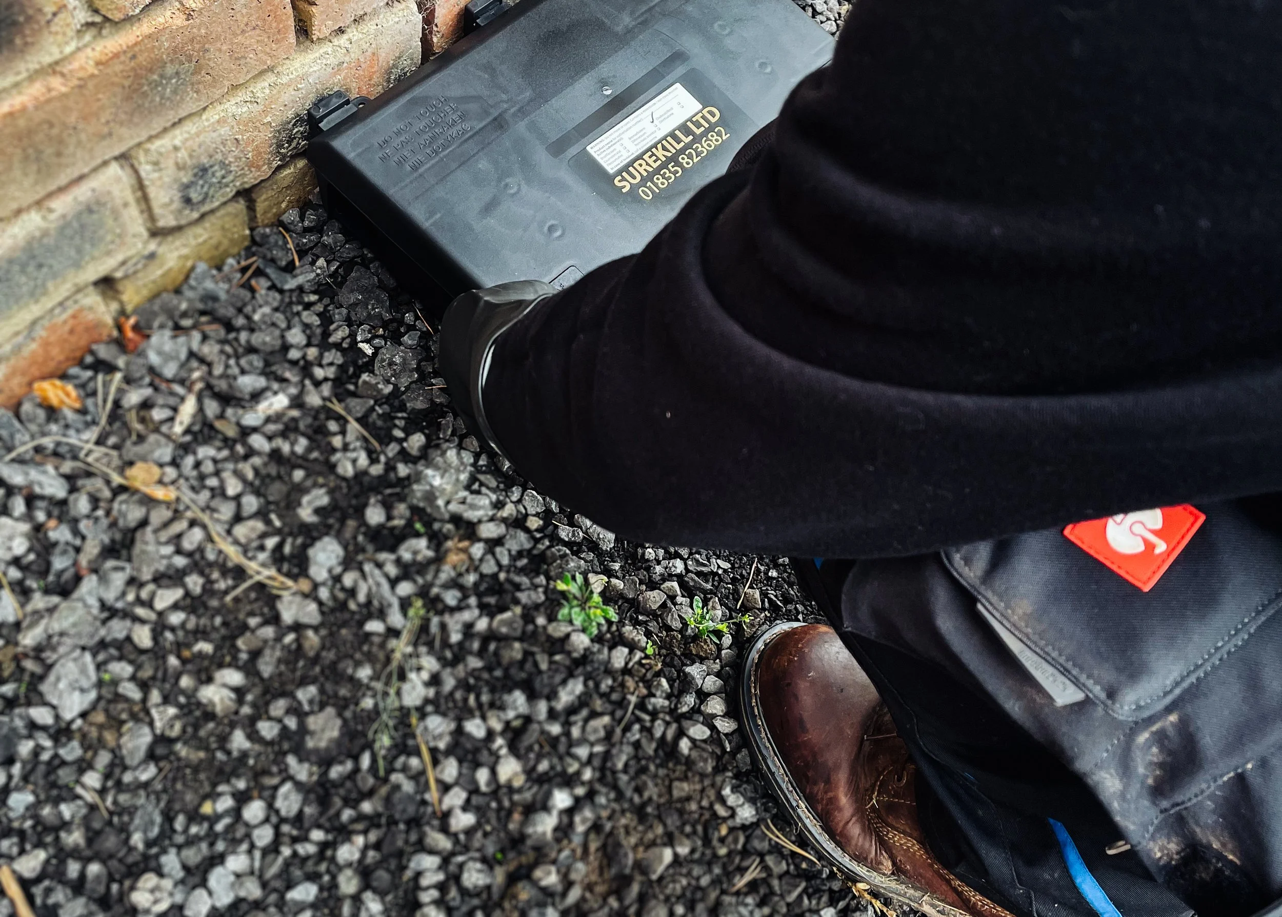 Person putting a surekpll ratbox outdoors, with their arm extended toward the box. The ground is made of small rocks and dirt, and there is a brick wall nearby.