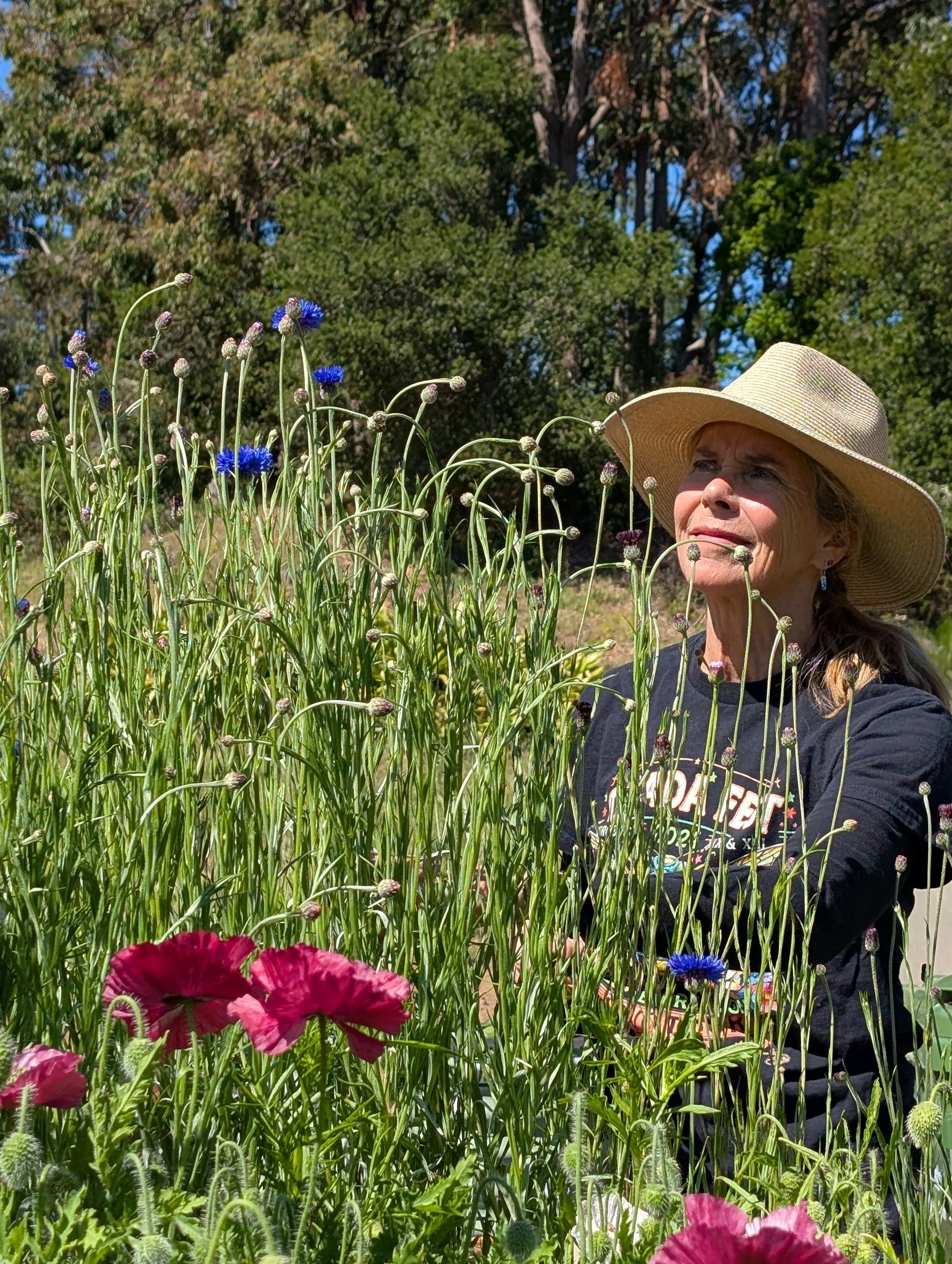 A woman wearing a wide-brimmed hat and a black t-shirt with colorful text, standing among pink, blue, and purple flowers and green foliage outdoors on a sunny day.