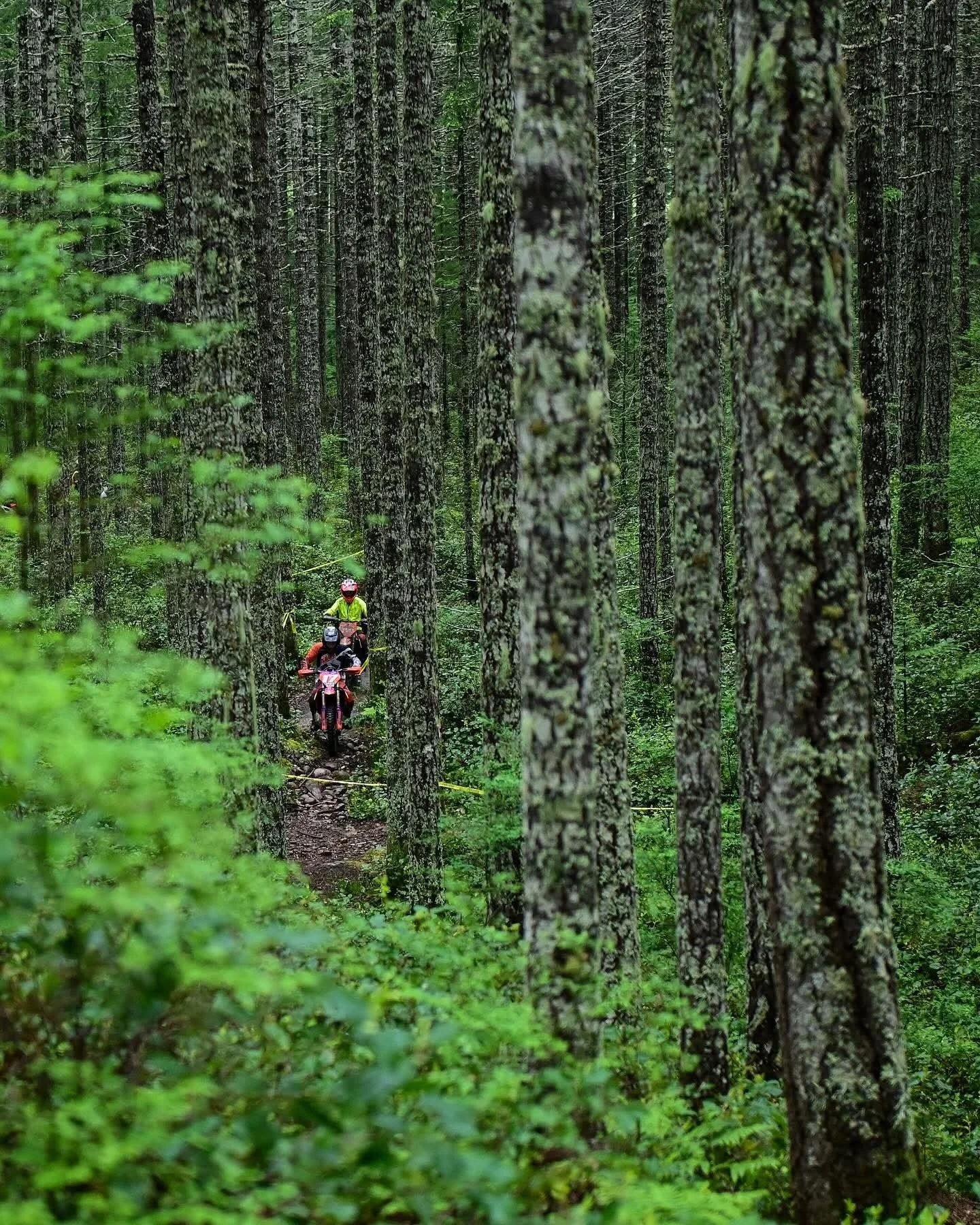 Spring is coming&hellip; is your bike ready?
Now&rsquo;s the time to get your bike dialed.
✔️Service bookings available
✔️Parts in stock

📍 Gear 7 Motorsports
Located in the Cowichan Valley 
Open Monday to Friday 9am to 5pm 

📸 @brapsnap
