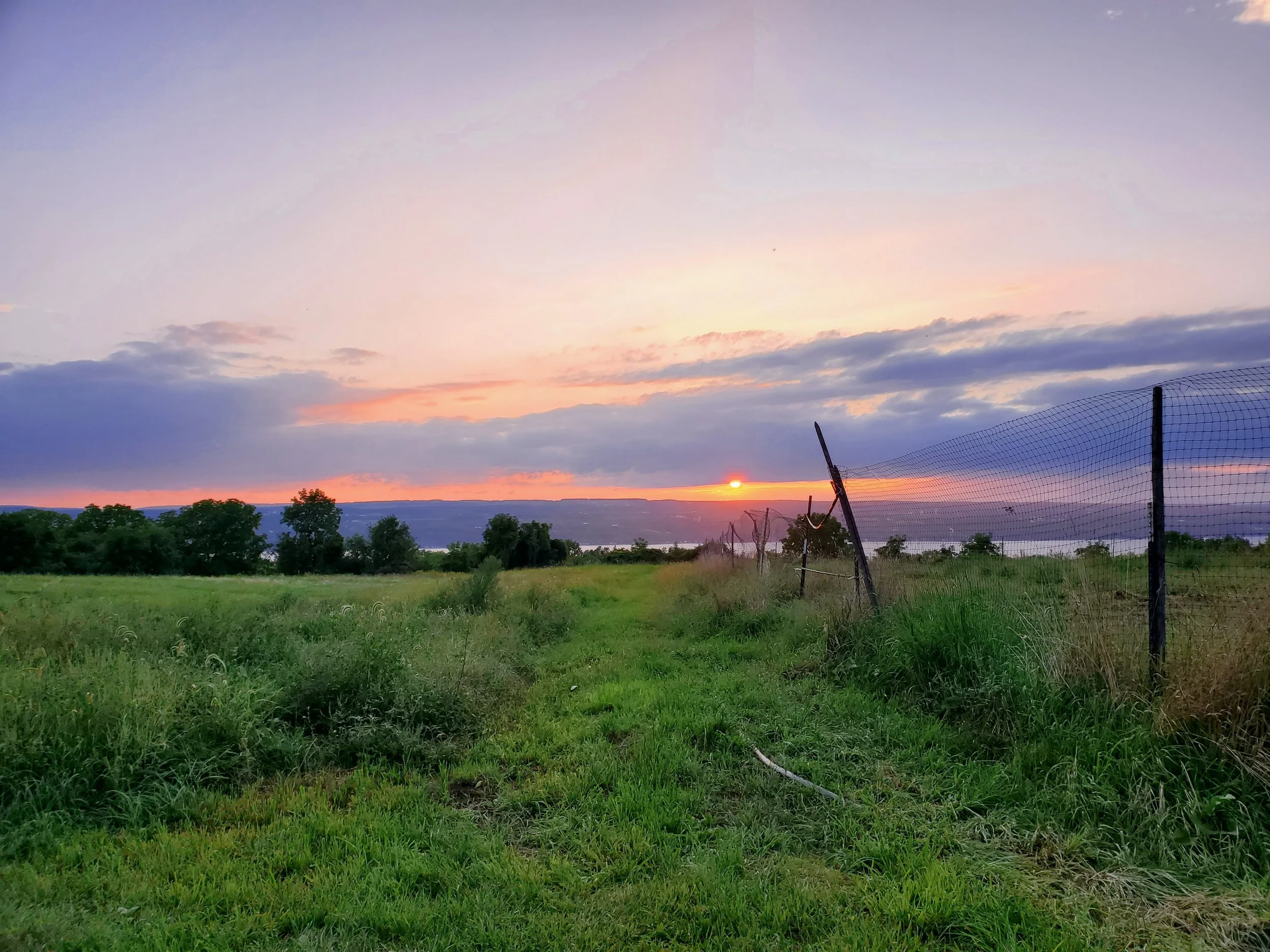 a sunset from our campsite on a camping trip in the Finger Lakes, September 2023.