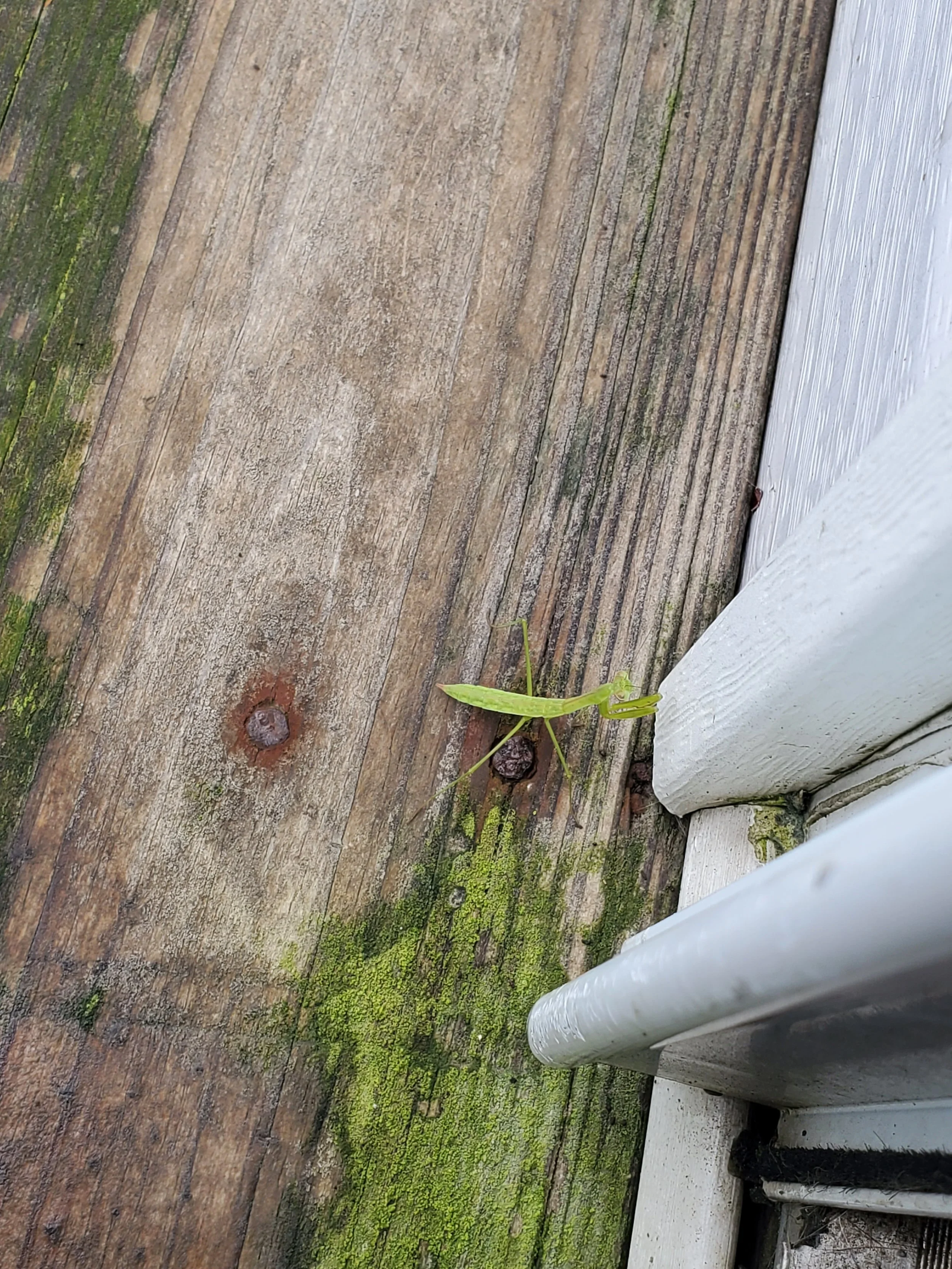 excuse me, no solicitors.