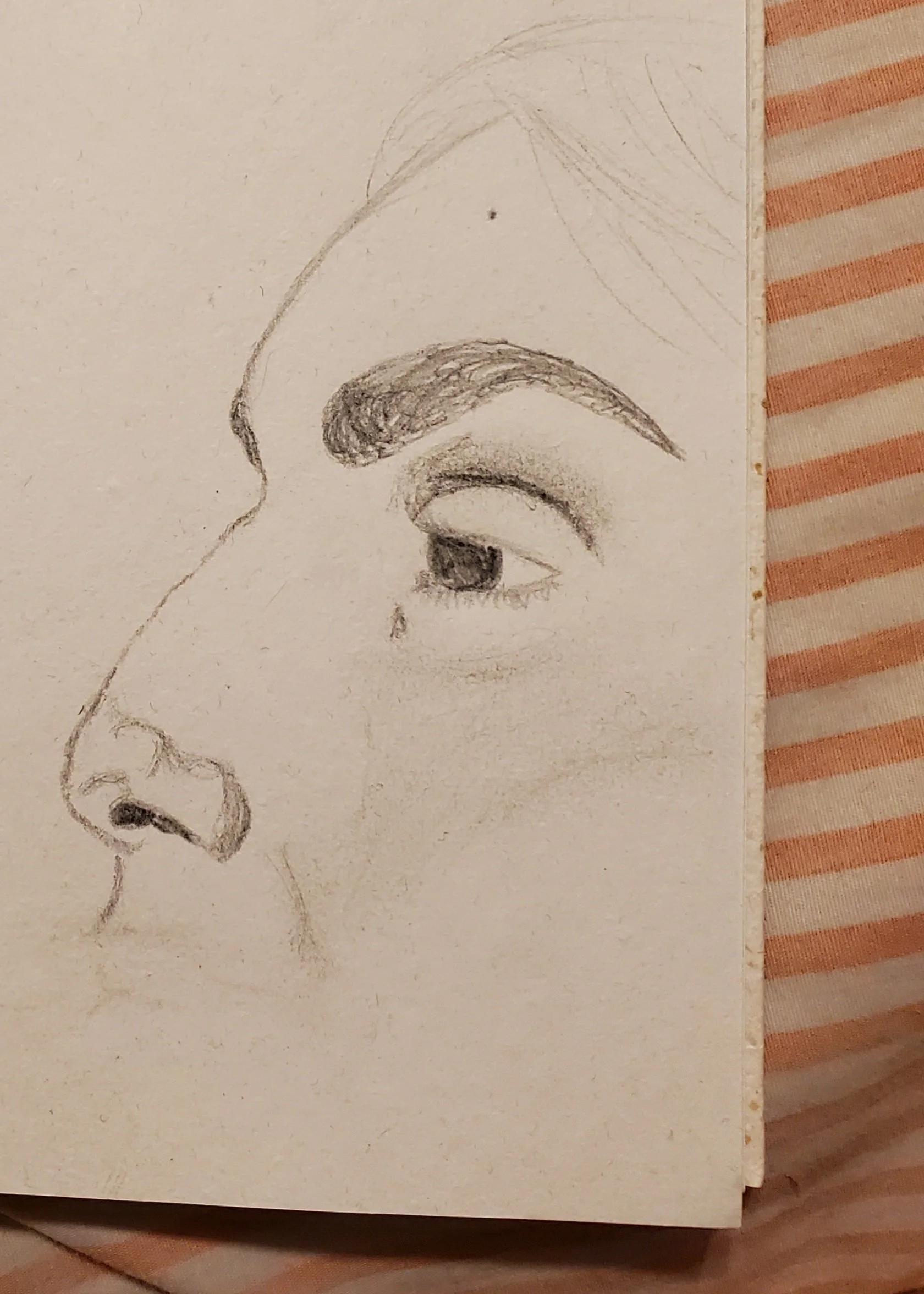 a nose and eye study