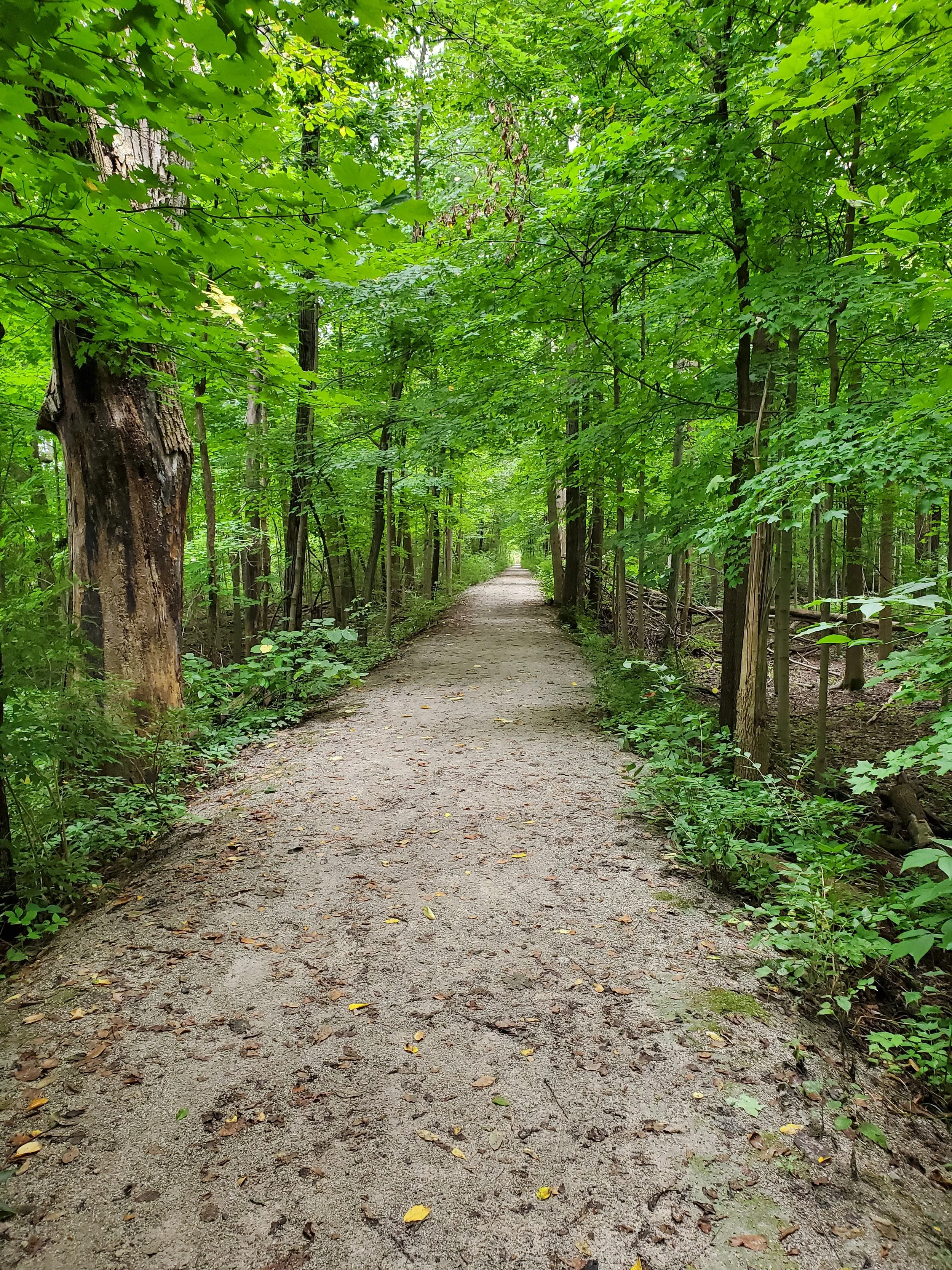 a view of the park path