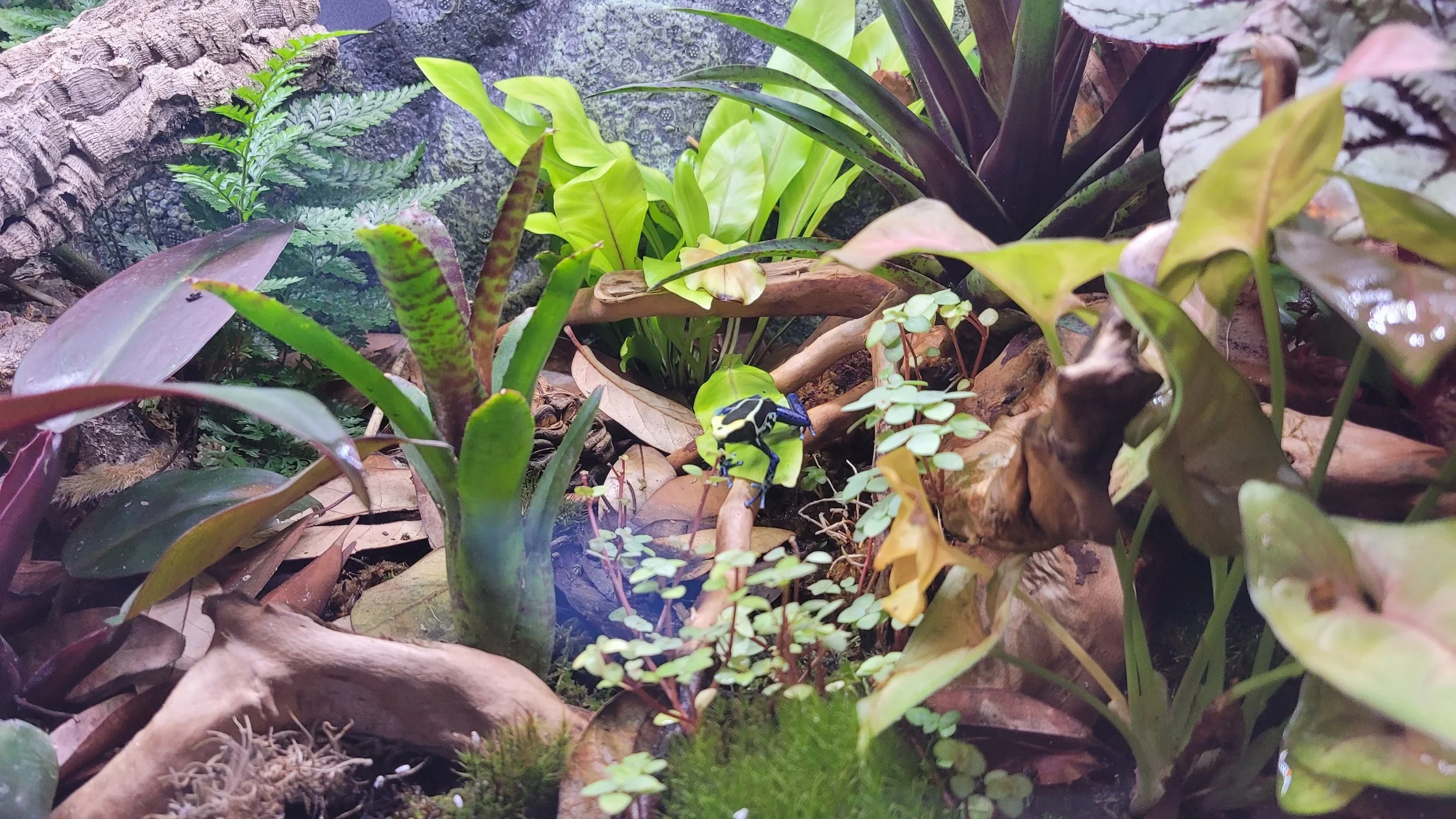 20220816_201908.jpg
