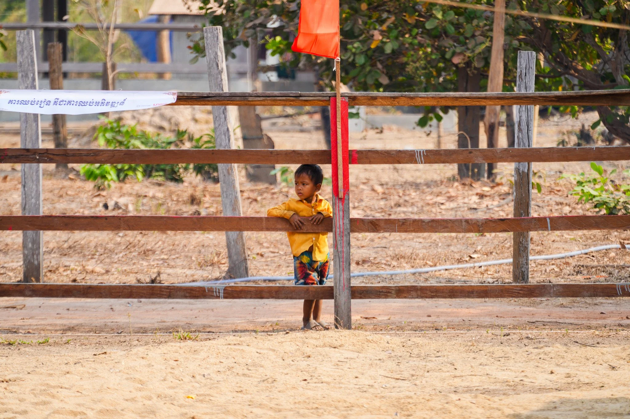A young boy standing behind a green wooden gate, wearing a yellow shirt and multicolored shorts, with a serious expression, in a dry outdoor area with sparse vegetation and a few plants in the background.