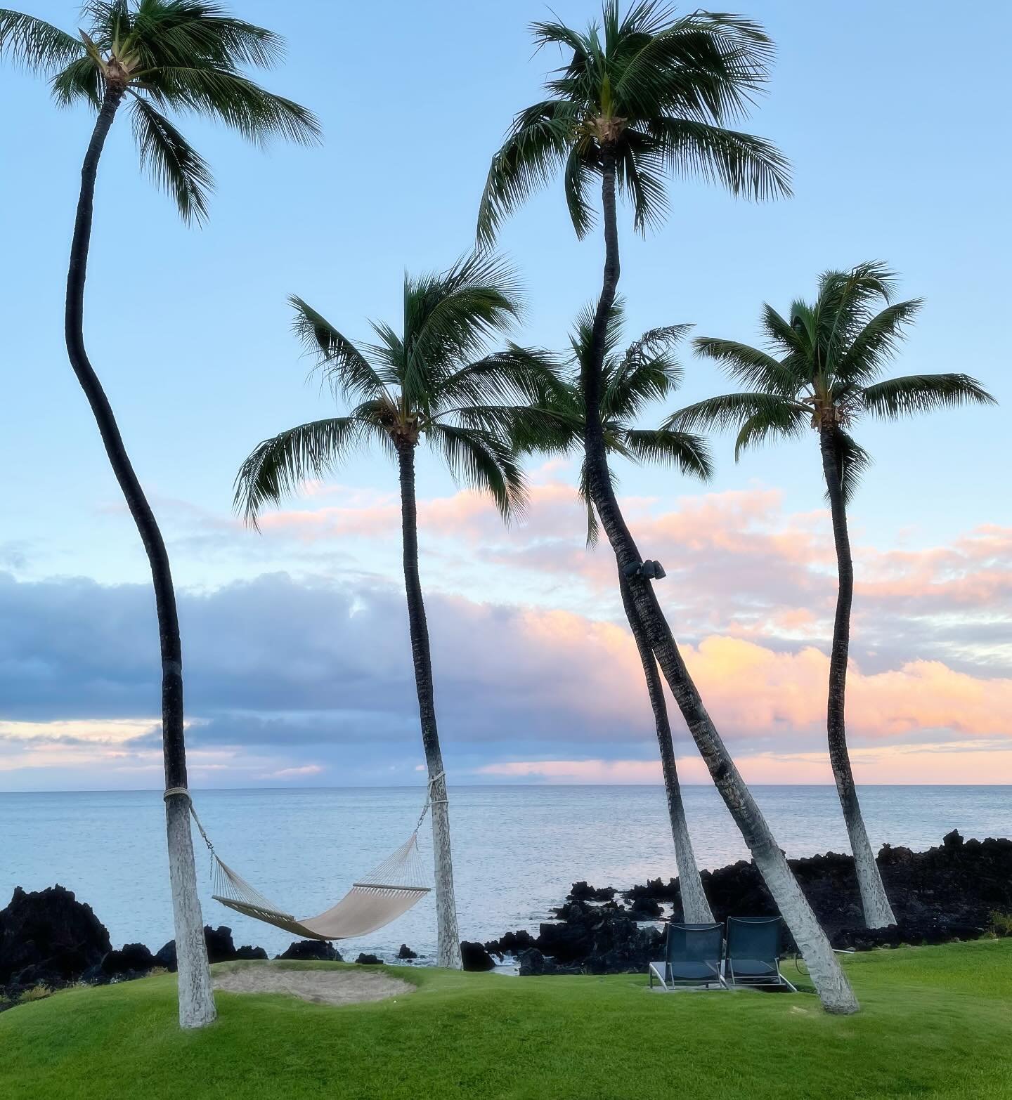 Could you use some Hammock therapy?

No co-pay required. Just palm trees, golden light, and permission to relax. TGIF.

Looking back at our trip to the Big Island of Hawaii.

#wanderwithmonica #hammocktherapy #hammock #sunsetonthebeach #hawaiiansun #