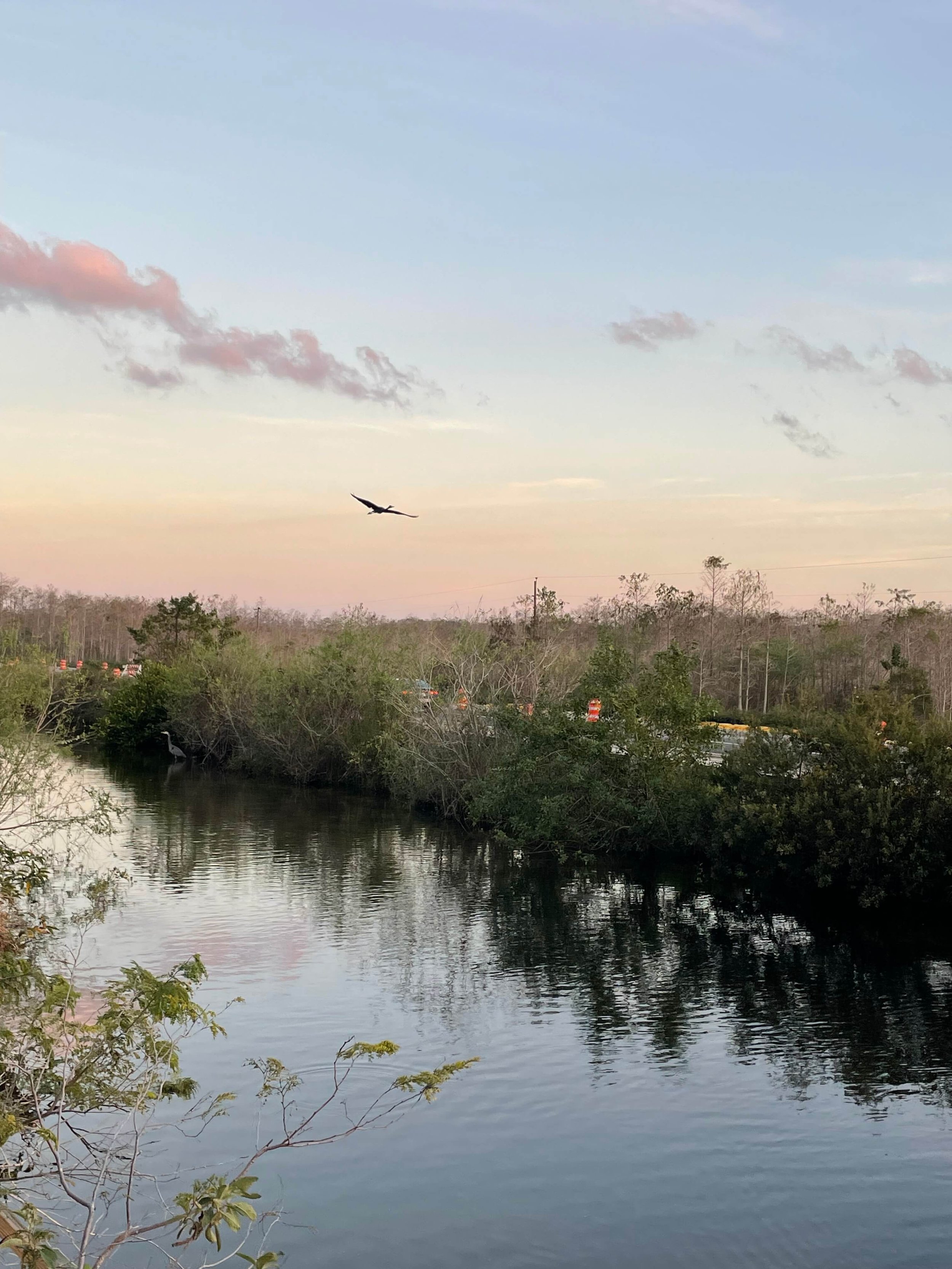 Big Cypress National Preserve