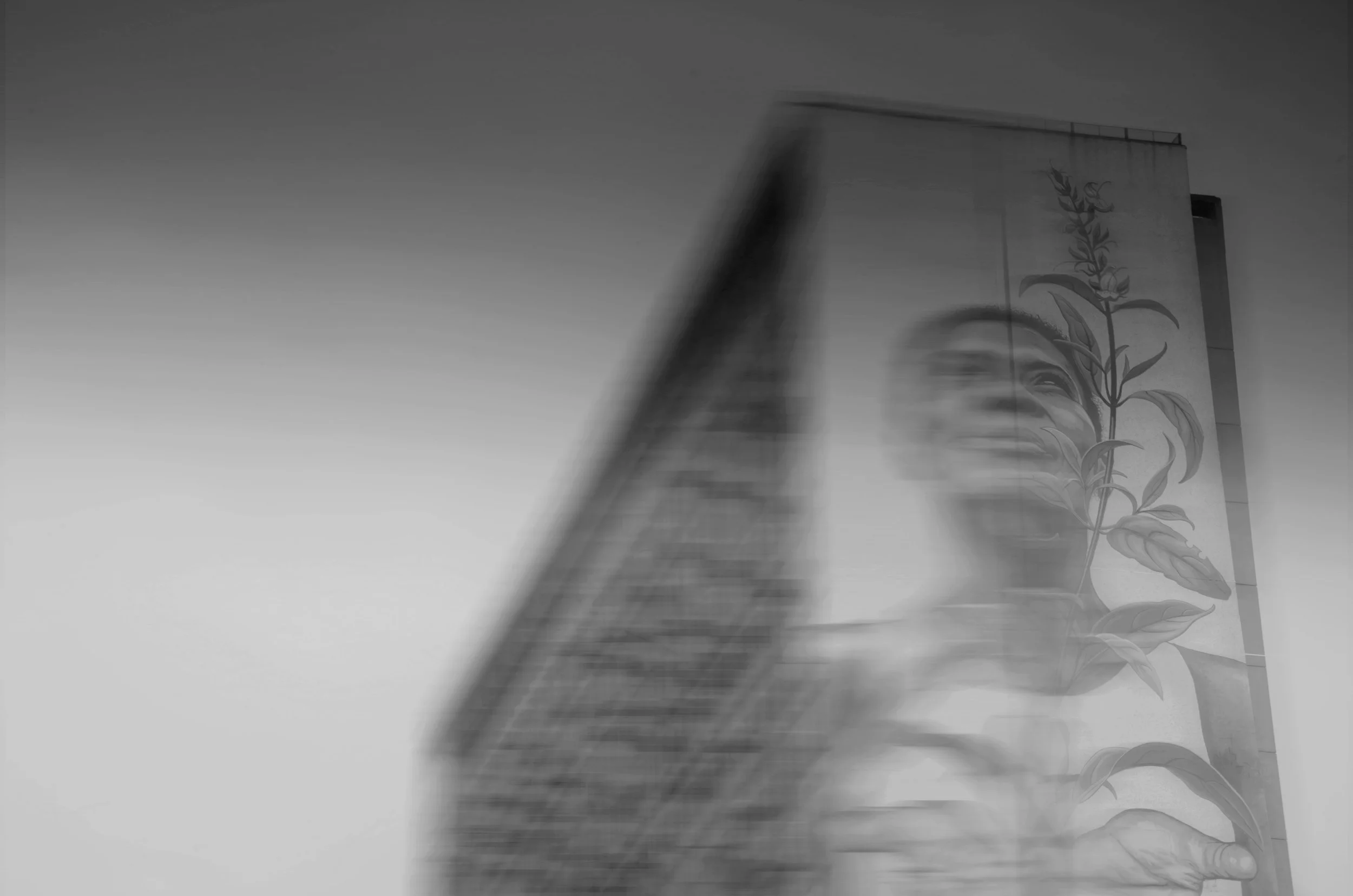 Imagem em preto e branco de um edifício com um mural de uma mulher sorrindo e uma planta ao lado dela, com efeito de movimento ou desfoque.