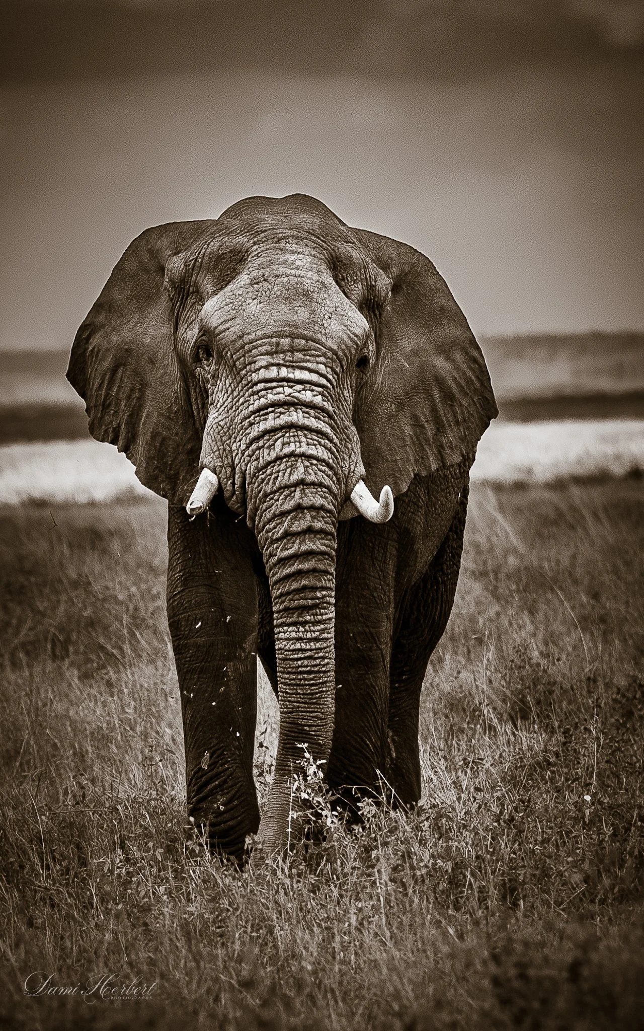 Patricia Lake-1.jpeg