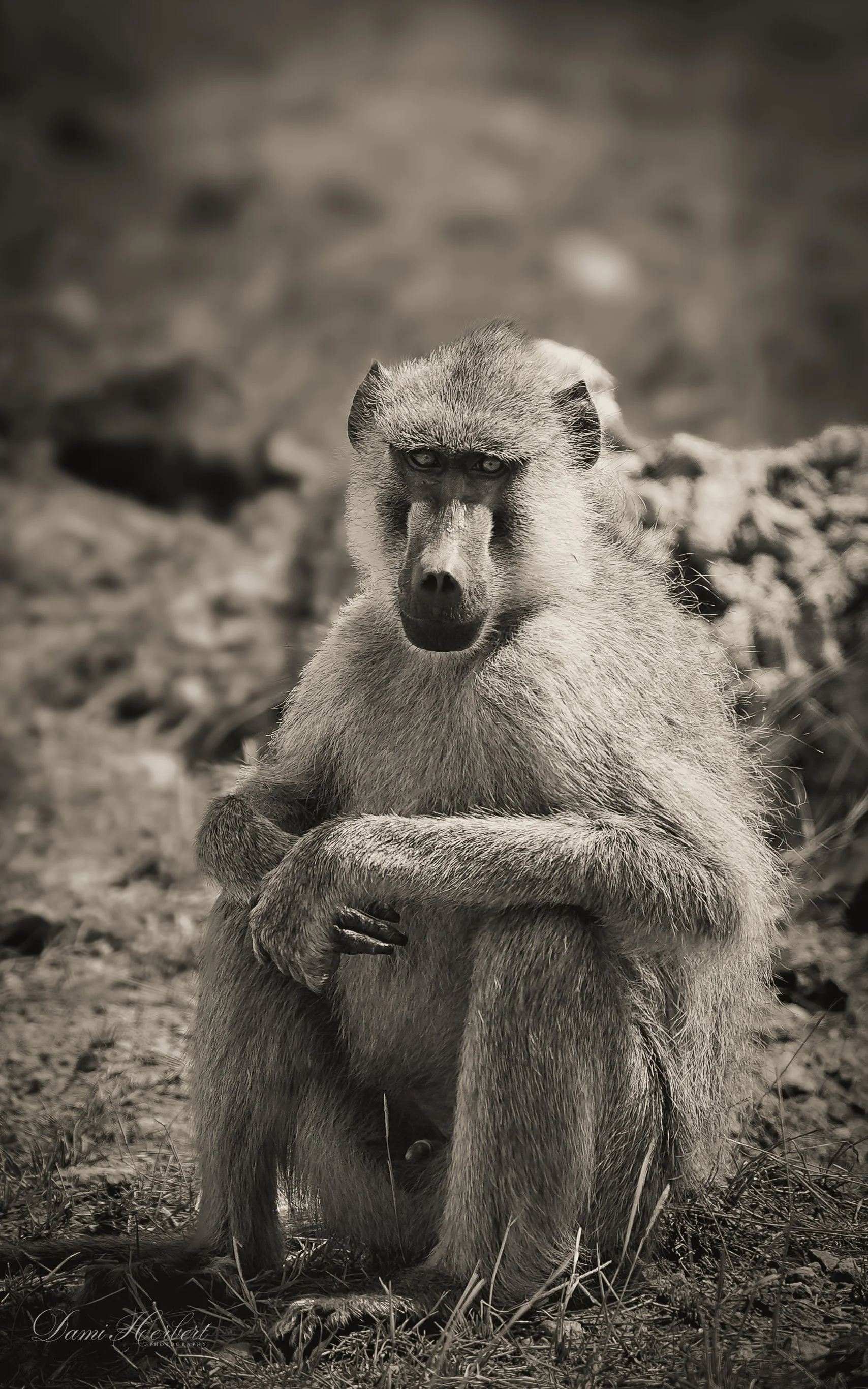 Patricia Lake-1.jpeg