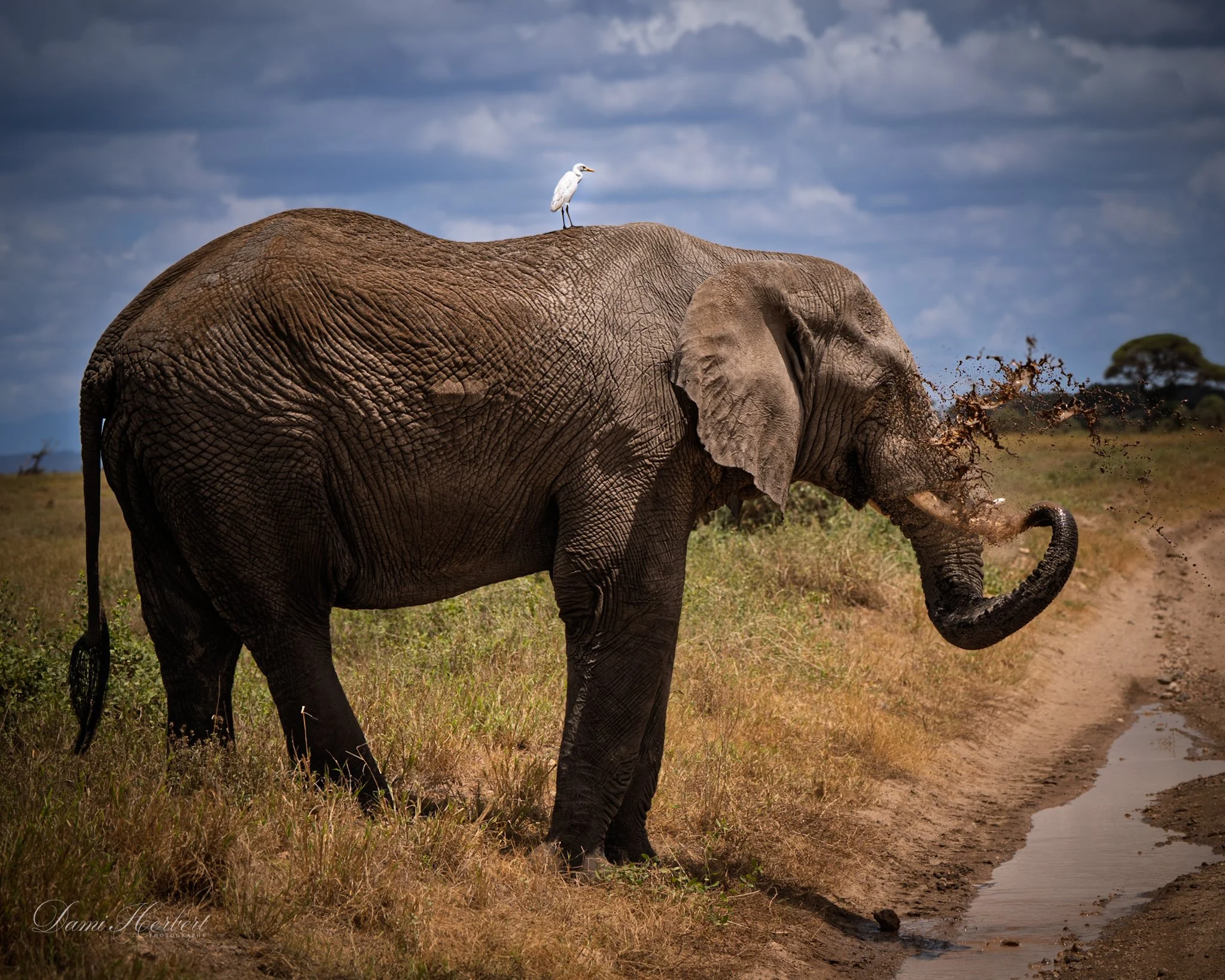 Patricia Lake-1.jpeg
