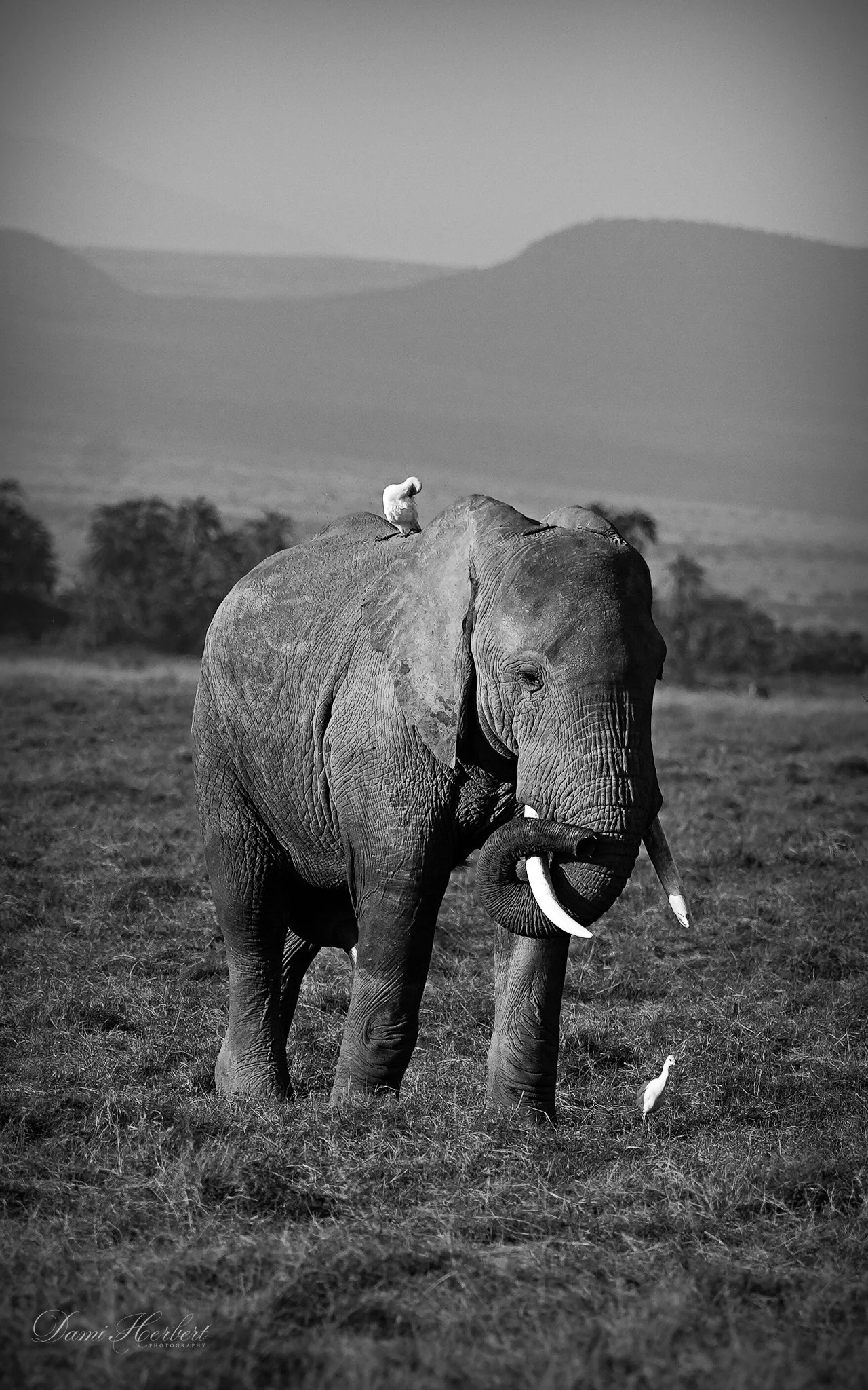 Patricia Lake-1 2.JPG