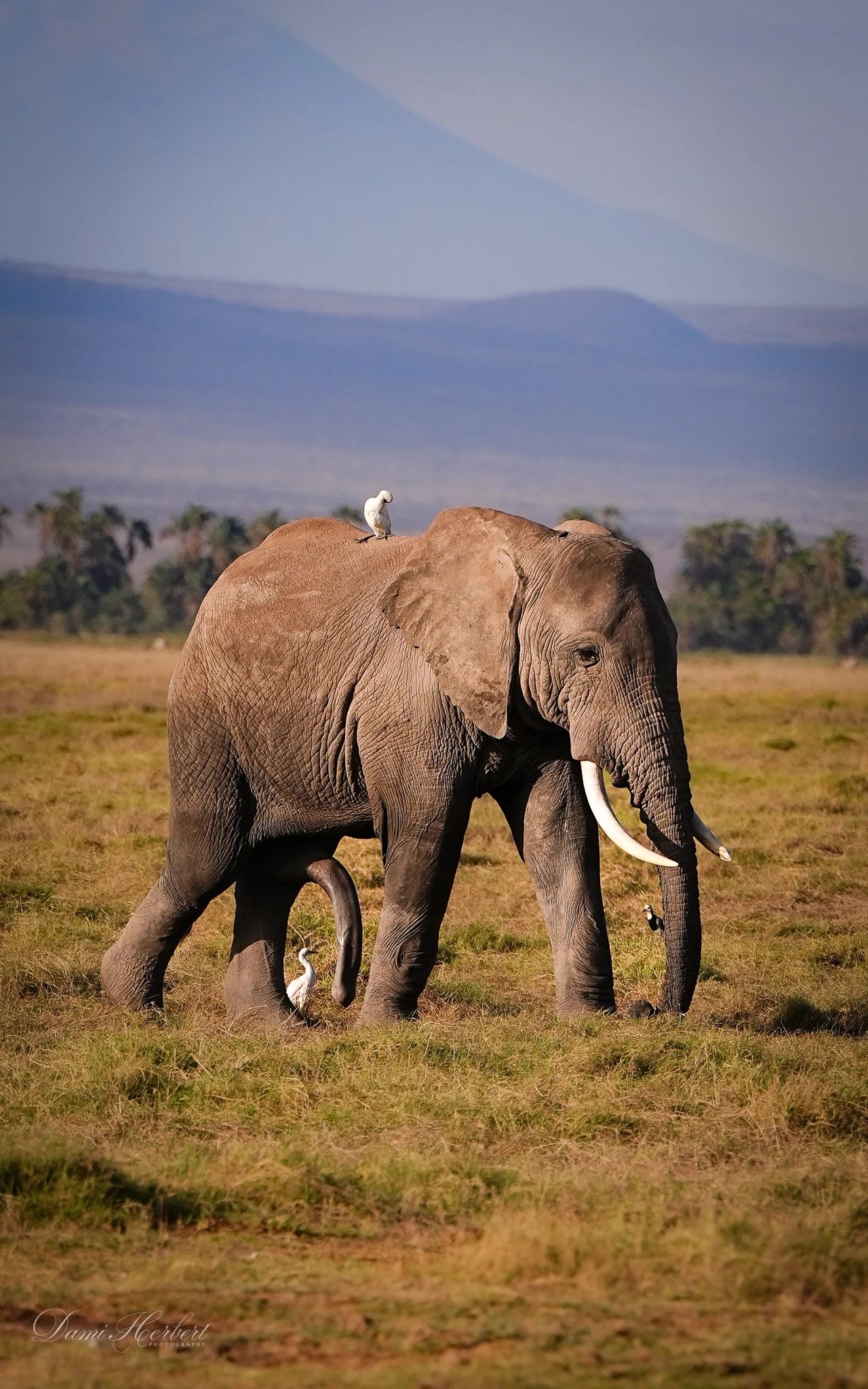 Patricia Lake-1.jpeg