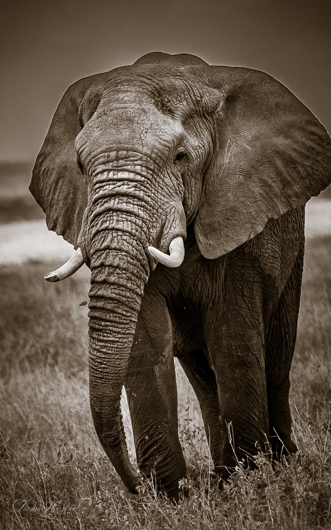 Patricia Lake-1.jpeg