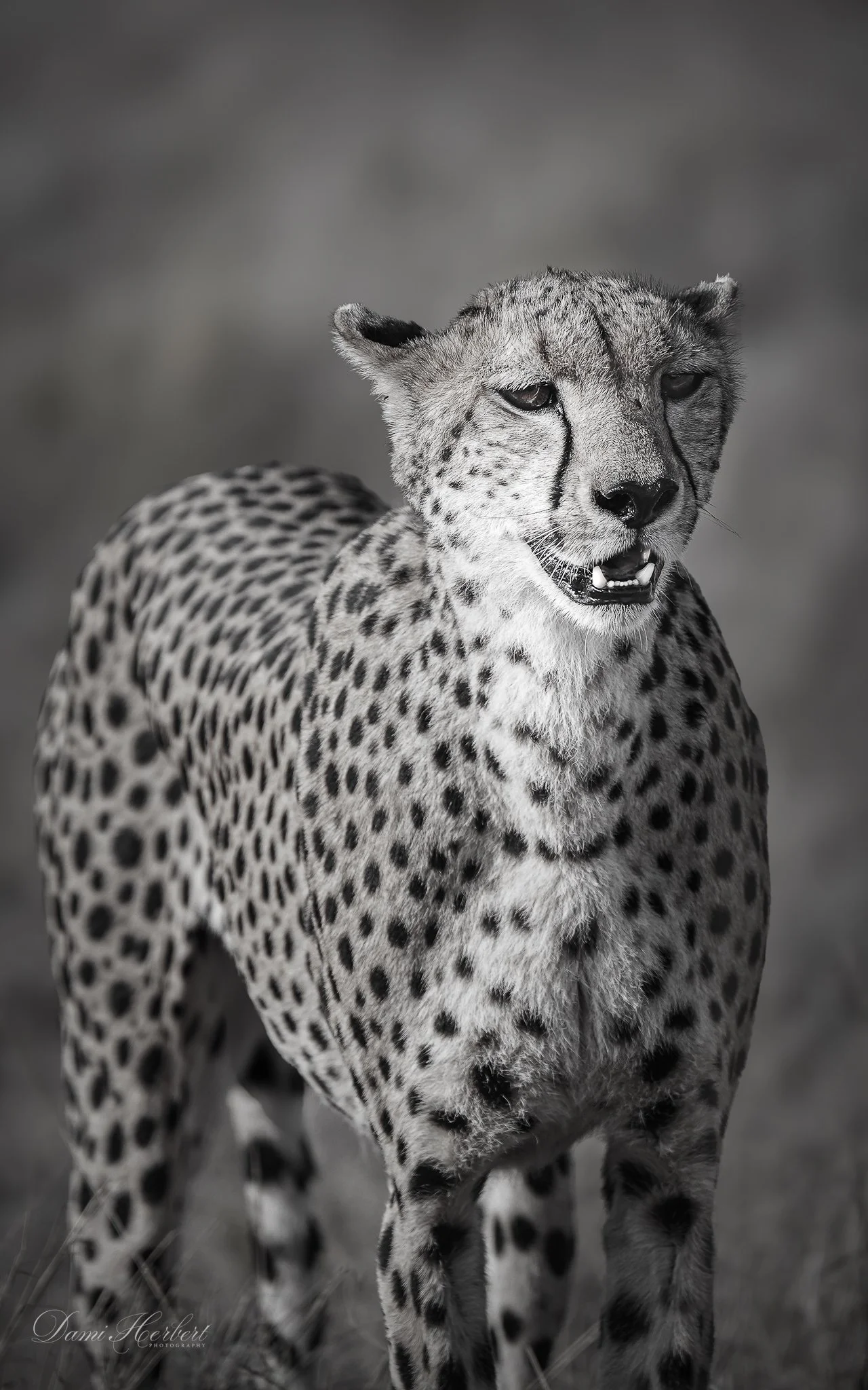 Patricia Lake-1 4.JPG