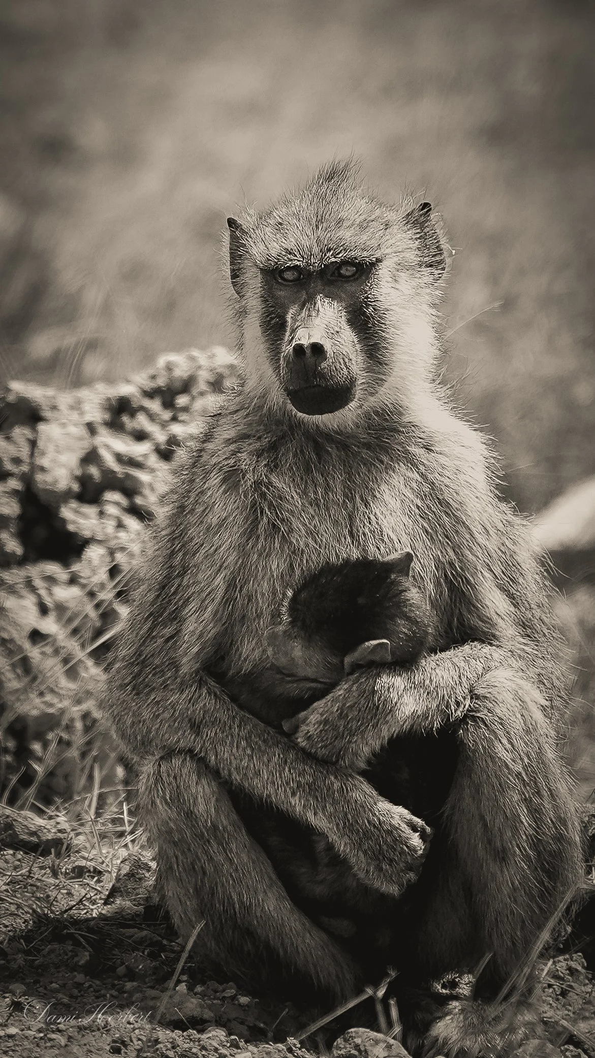 Patricia Lake-1.jpeg