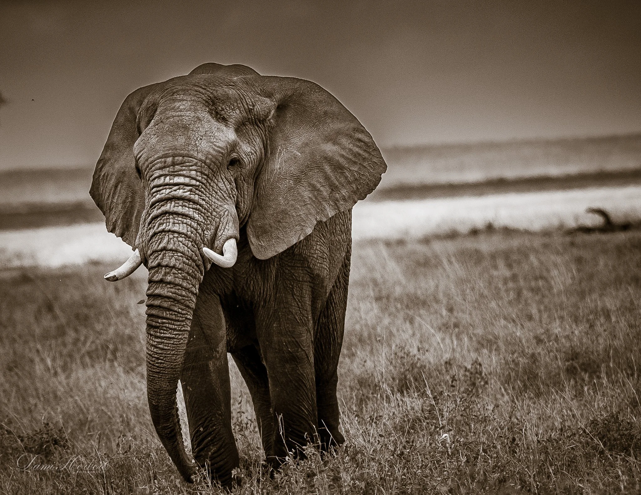 Patricia Lake-1.jpeg