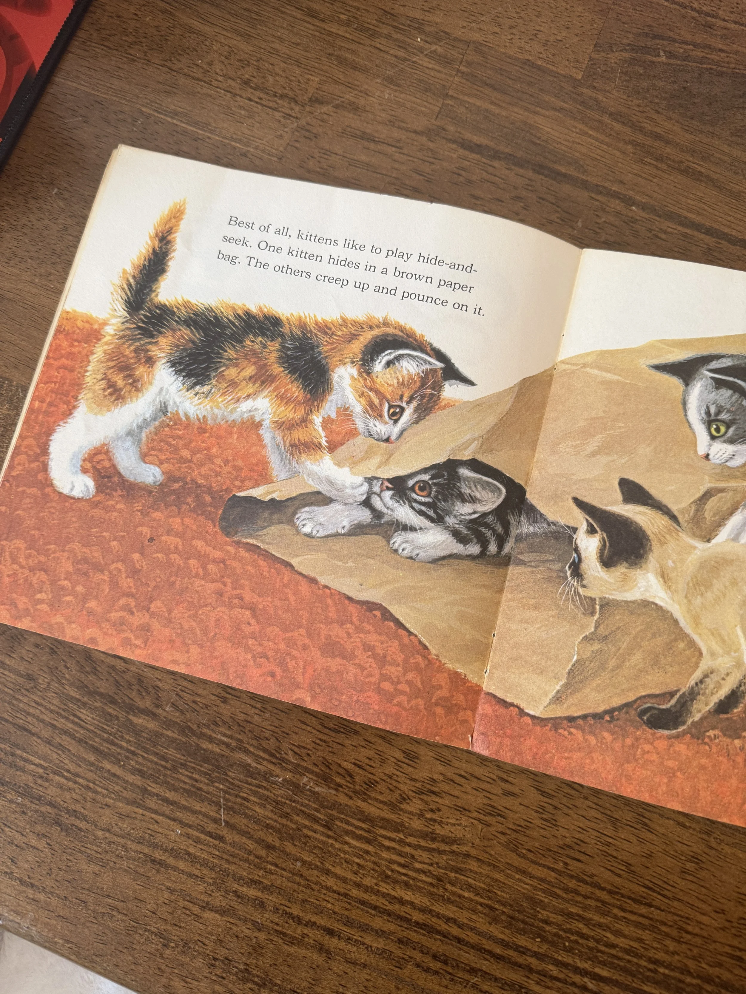 The Books That Shaped Me and How They Still Influence My Work