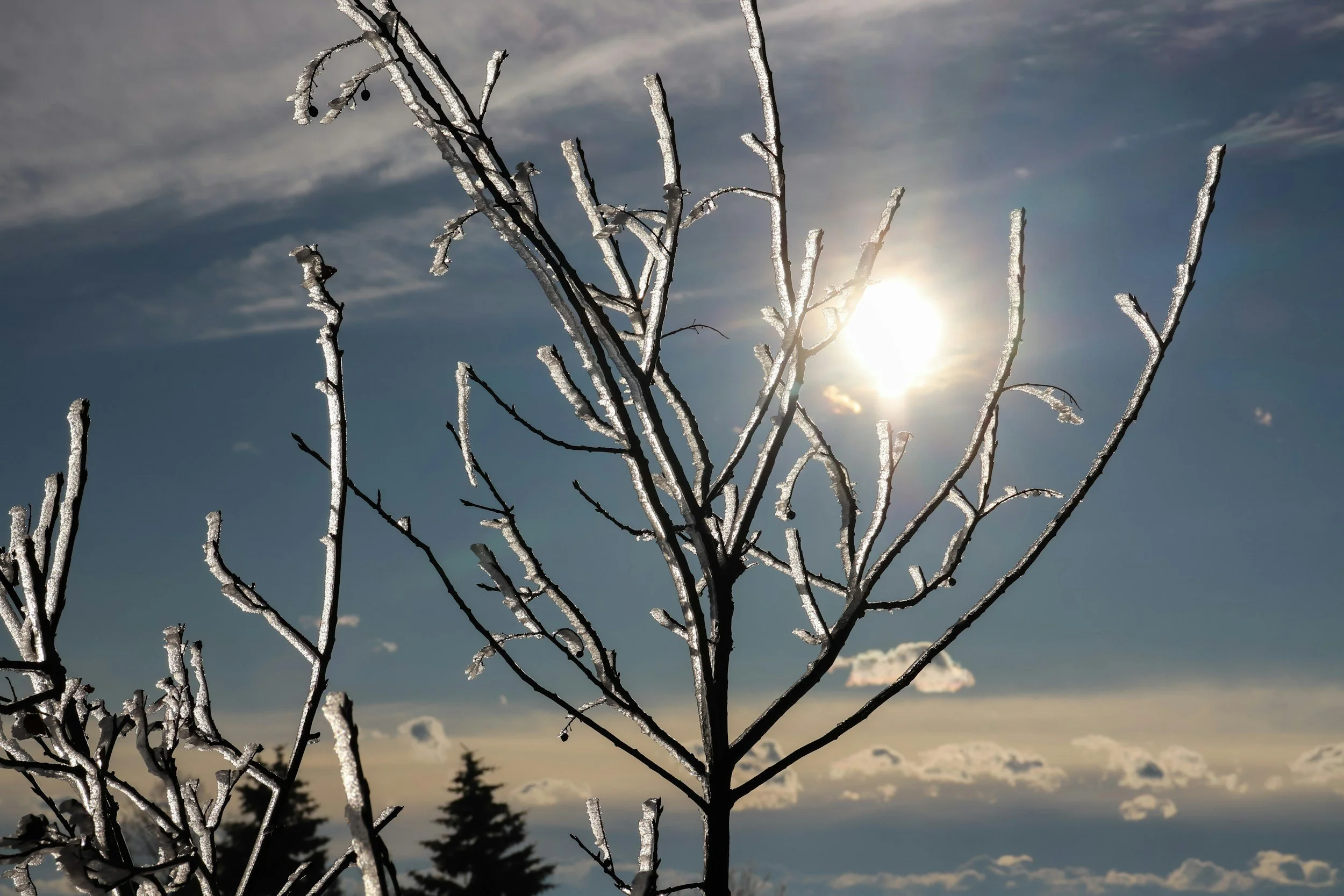 File #7 - a Borrowed Coat