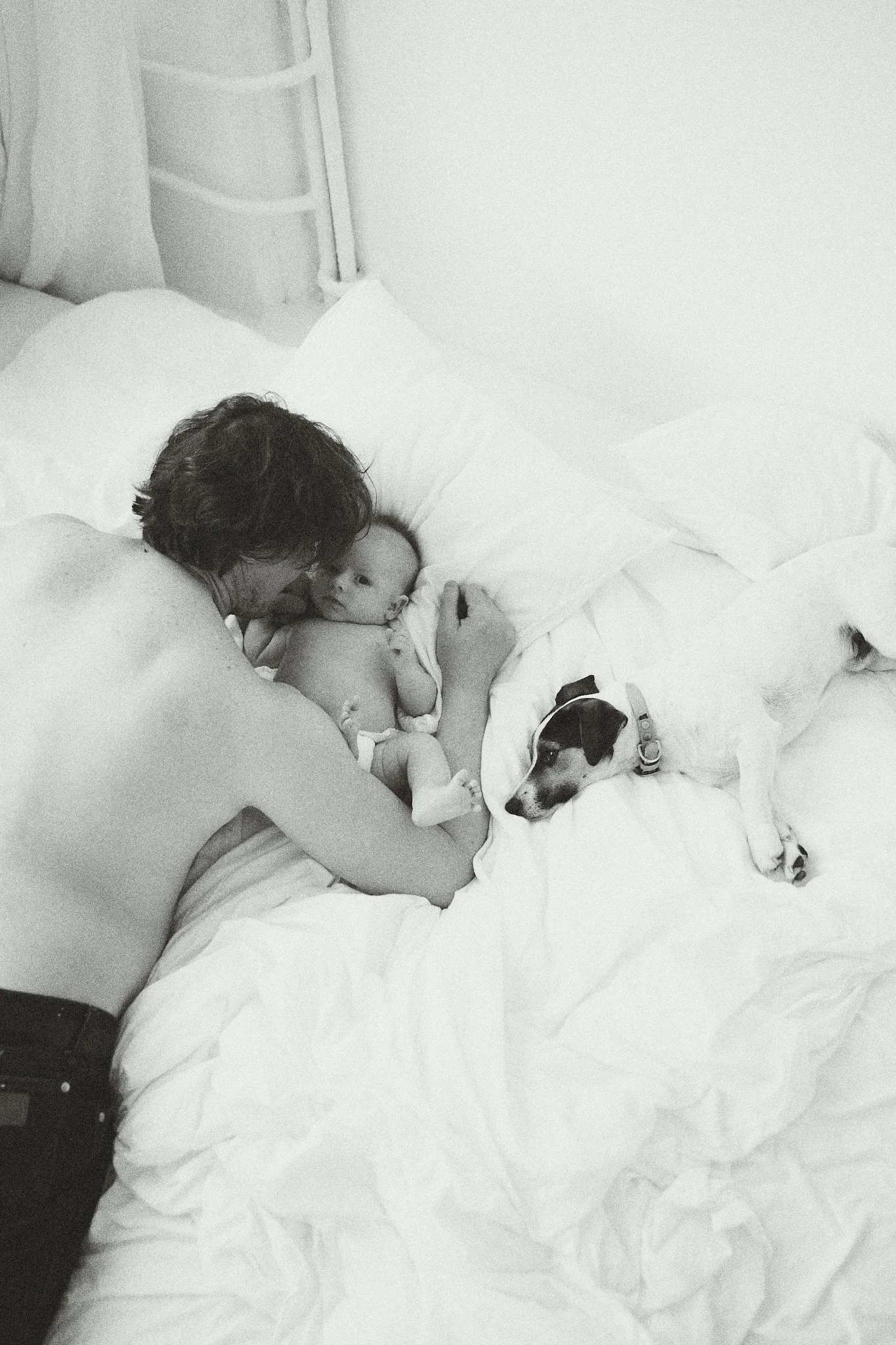 Parent and baby lying in bed with a dog