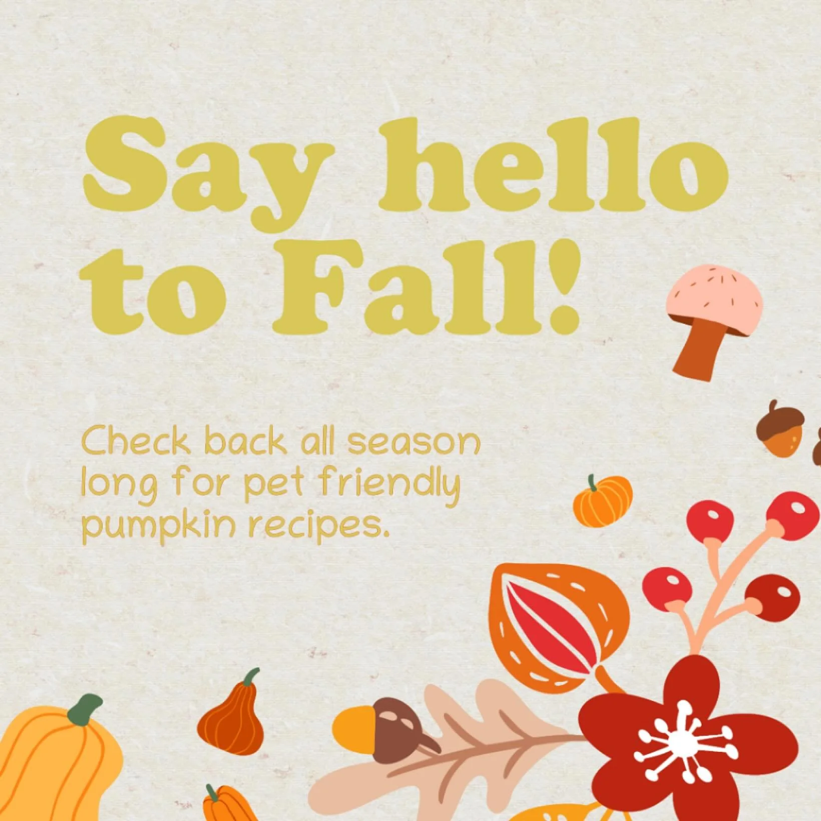 Happy first day of fall!

Did you know most animals can have pumpkin incorporated into their diet? Check back over the next few weeks for pet friendly pumpkin recipes! 🎃🍂

#fall #pumpkin #petfriendlyfoods #petsofig