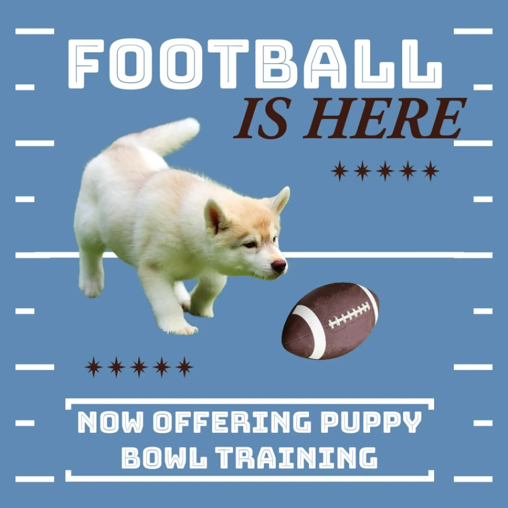 It&rsquo;s officially football season which means it&rsquo;s time to start training your dog for the puppy bowl! 🏈🐾

We know they won&rsquo;t actually play in the puppy bowl, but wouldn&rsquo;t some training be great?!

Send us a message to get you