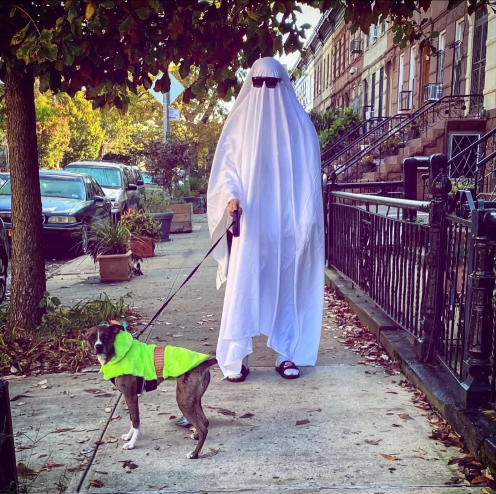 Happy Halloween 🎃 🐶

Don&rsquo;t forget to dress up your fur babies today&hellip;and show us their costumes in the comments 🤭

#petsofinstagram #petsofmemphis #petsittingmemphis