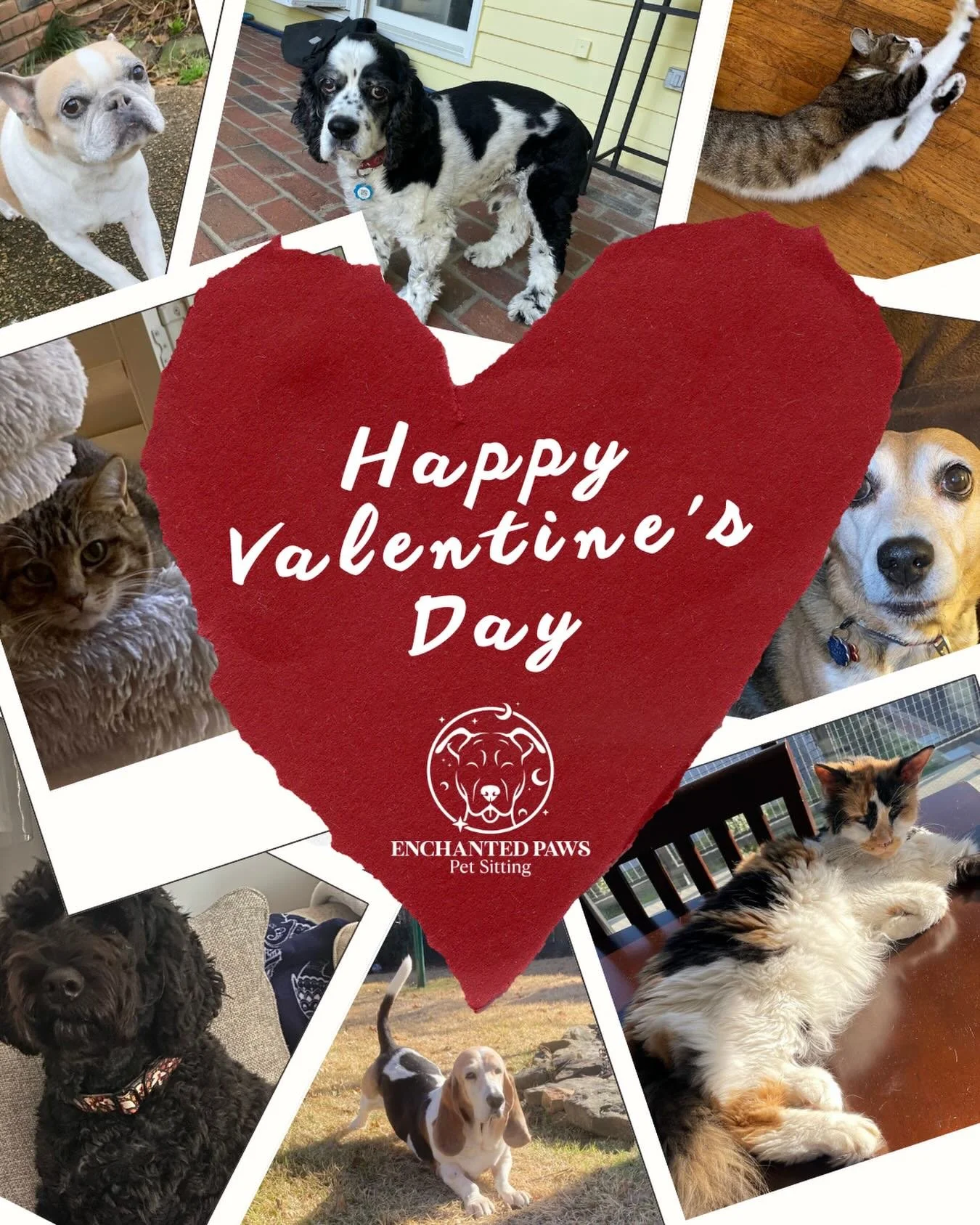Roses are red violets are blue. We can&rsquo;t wait to meet you(r pets) 😻

Happy Valentine&rsquo;s Day. We hope your day is sweet ❣️