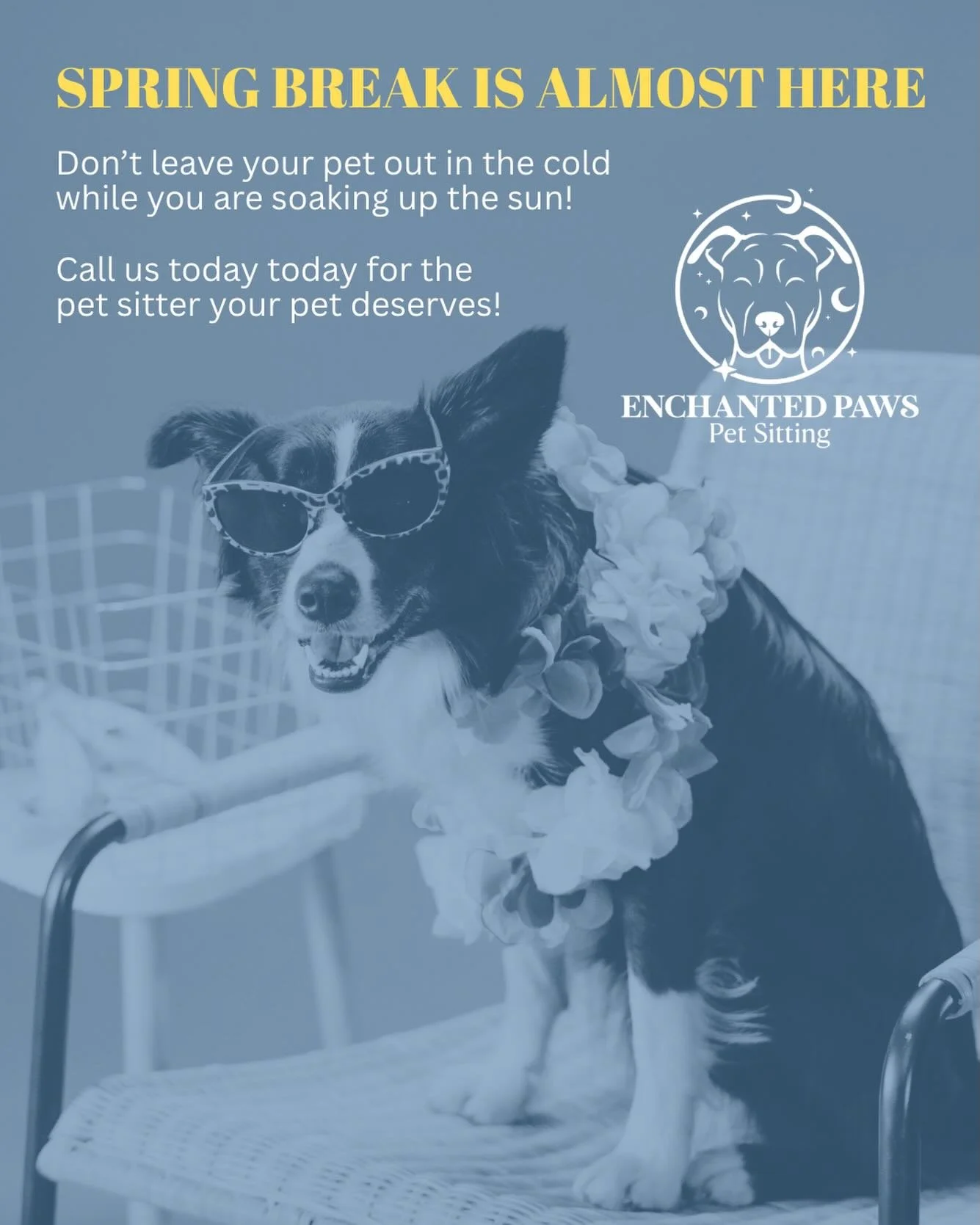 Whether you are headed out of town or doing more of a staycation, we are here to help you out! 

Message us for more info! 
Call or Text us at 901-715-6865
Email us at enchantedpawspets@gmail.com 

Licensed and insured 

#petsittermemphis #memphistn