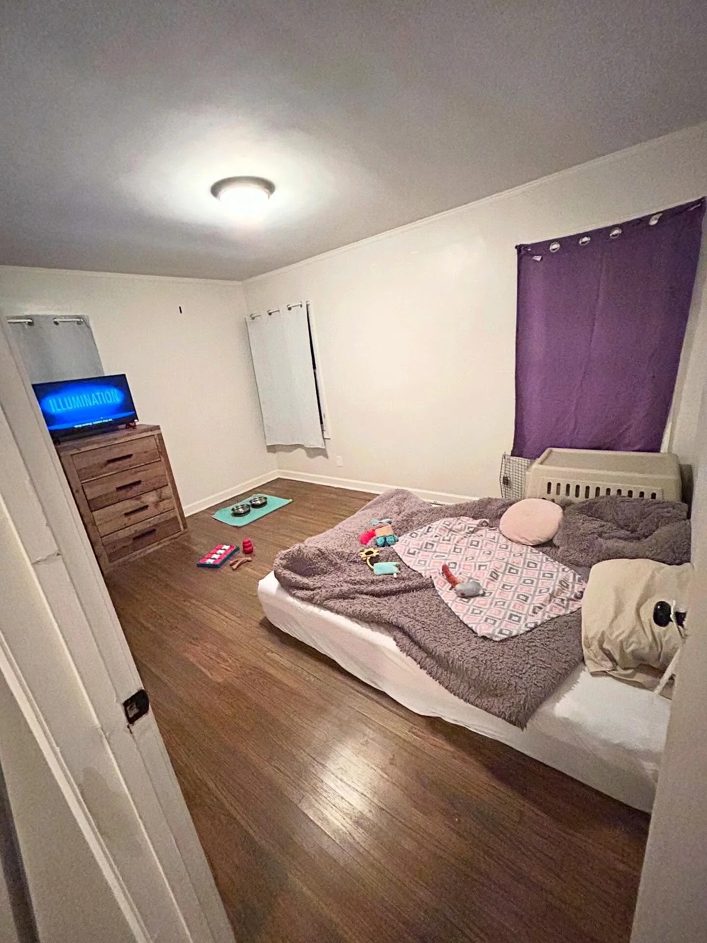 What makes our boarding different??

 Unlike normal kennel environments, our rooms come with a large bed, tv time, toys, and time out in the rest of the house!

Not only is it less stressful for your pet, it&rsquo;s a more homey environment all aroun