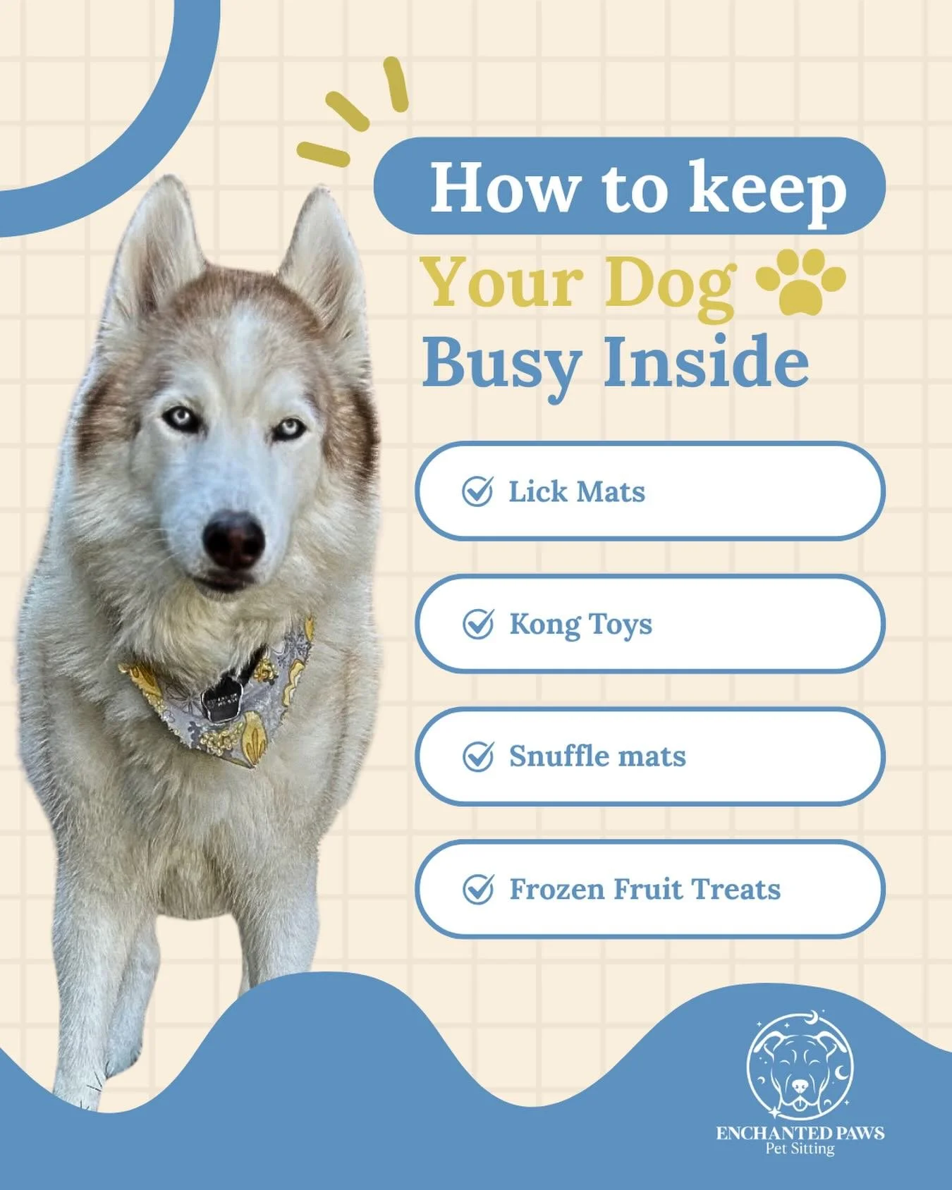 Sometimes it&rsquo;s too hot and too cold to get your dog outside. These are some awesome ways to keep your dogs mind stimulated while they&rsquo;re stuck inside. 🐶