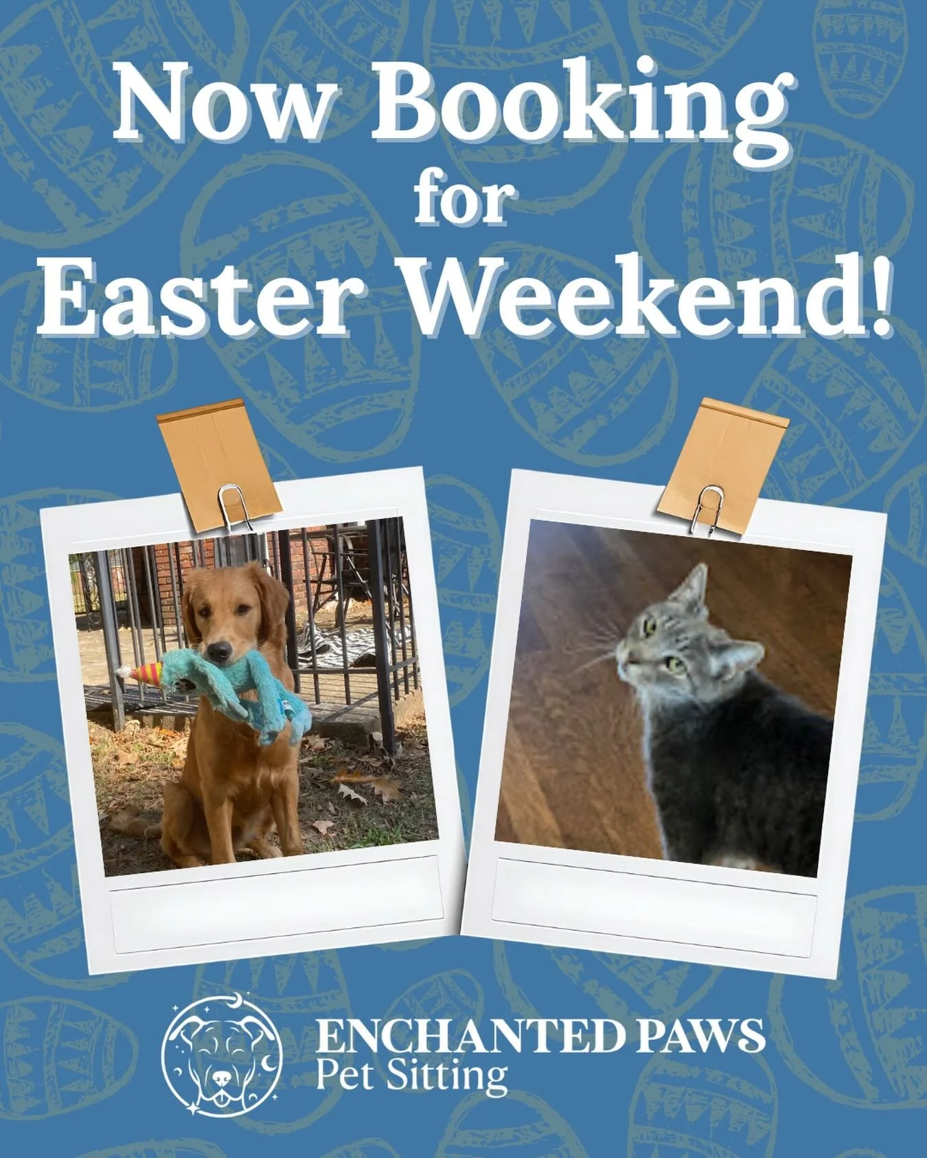 We are just over a week away from Easter weekend! 🐰🐣

If you&rsquo;re traveling, give us a call today to get on our schedule. We are booking fast!

#petsitterofmemphis #memphispetsitting #easterweekend #booknow