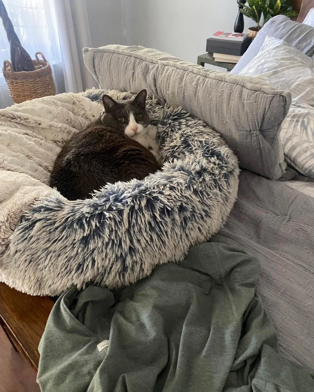 May is National Pet Month!! 

We love seeing all of our clients pets. From big to small, two legged to four, we really can do it all 🤩

If you need someone to check in on your pet while you&rsquo;re at work, on vacation or just out for the day, give