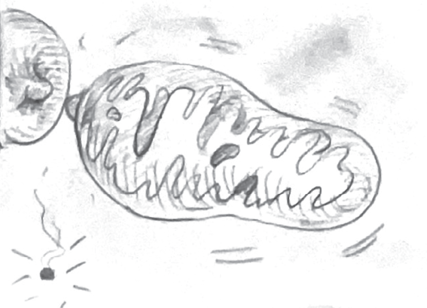 Etiomedart ThesisStoryboardScene_Asset 2@300x.png