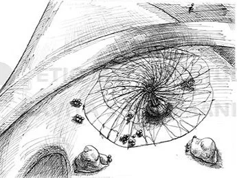 001+3DAnimation+NET+Sketches_WM_1.jpg