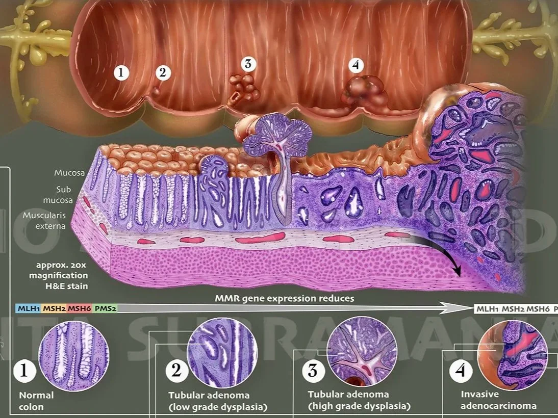 Scientific Poster