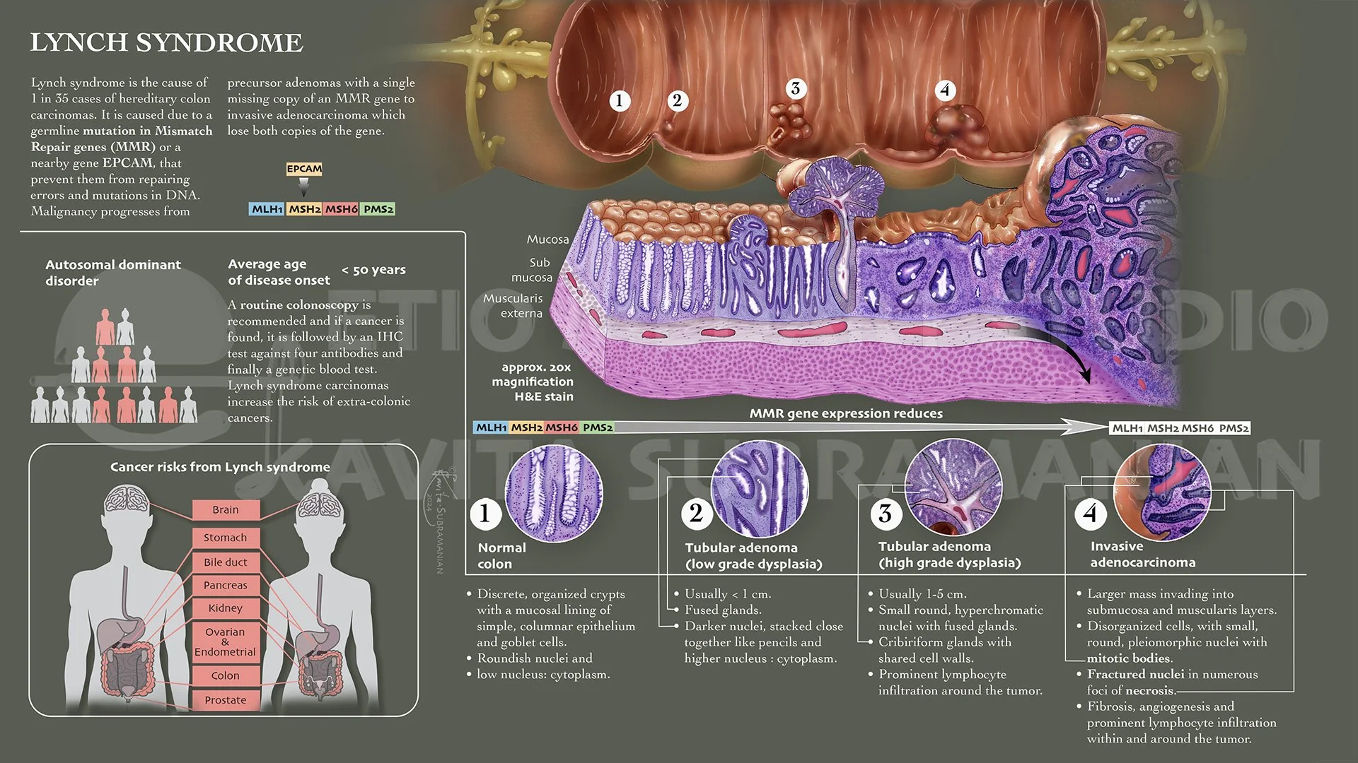 002 Pathology_Lynch_WM.jpg
