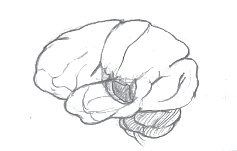 Etiomedart ThesisStoryboardScene_Asset 6@300x.png